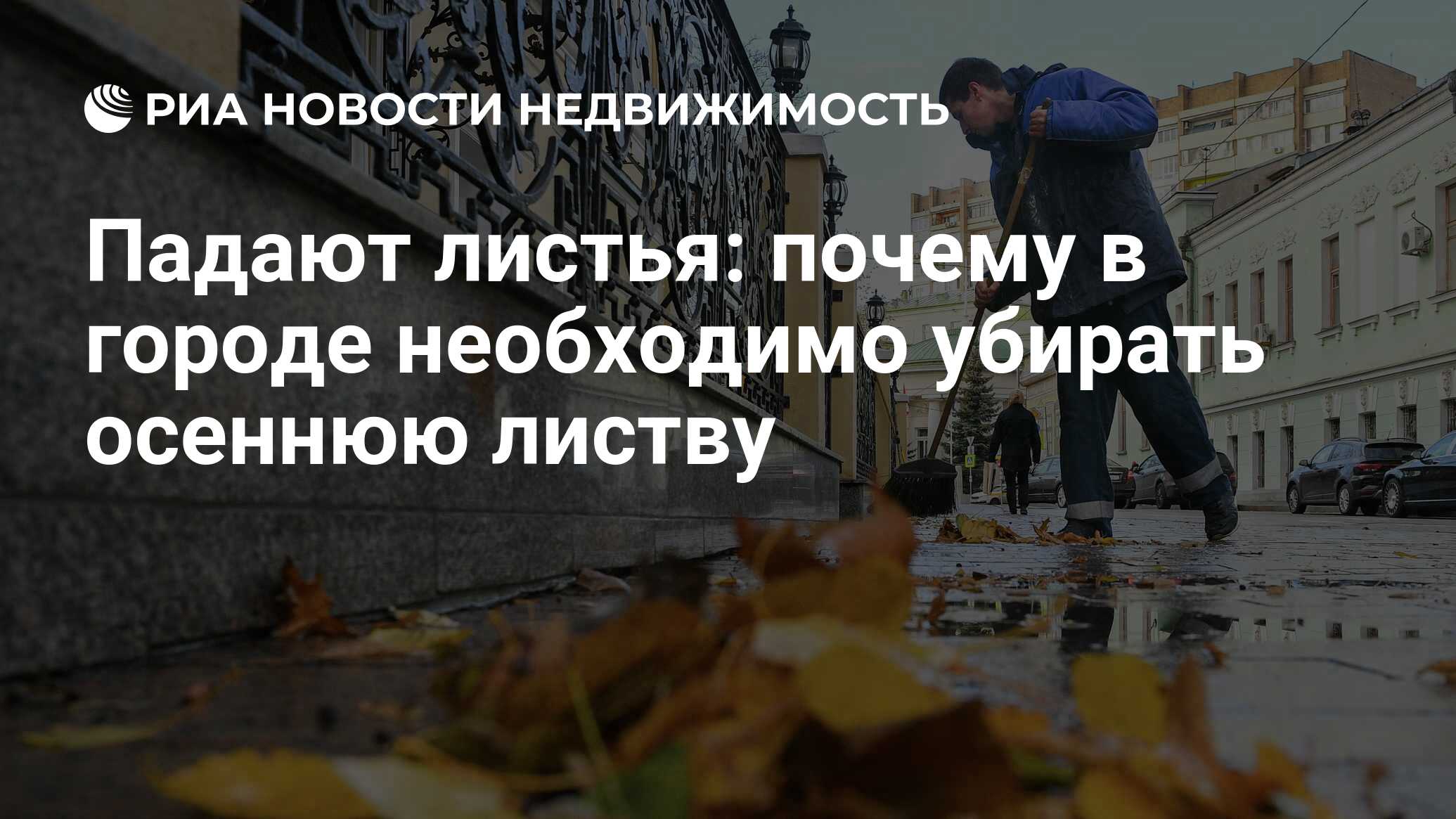 Падают листья: почему в городе необходимо убирать осеннюю листву -  Недвижимость РИА Новости, 29.09.2022