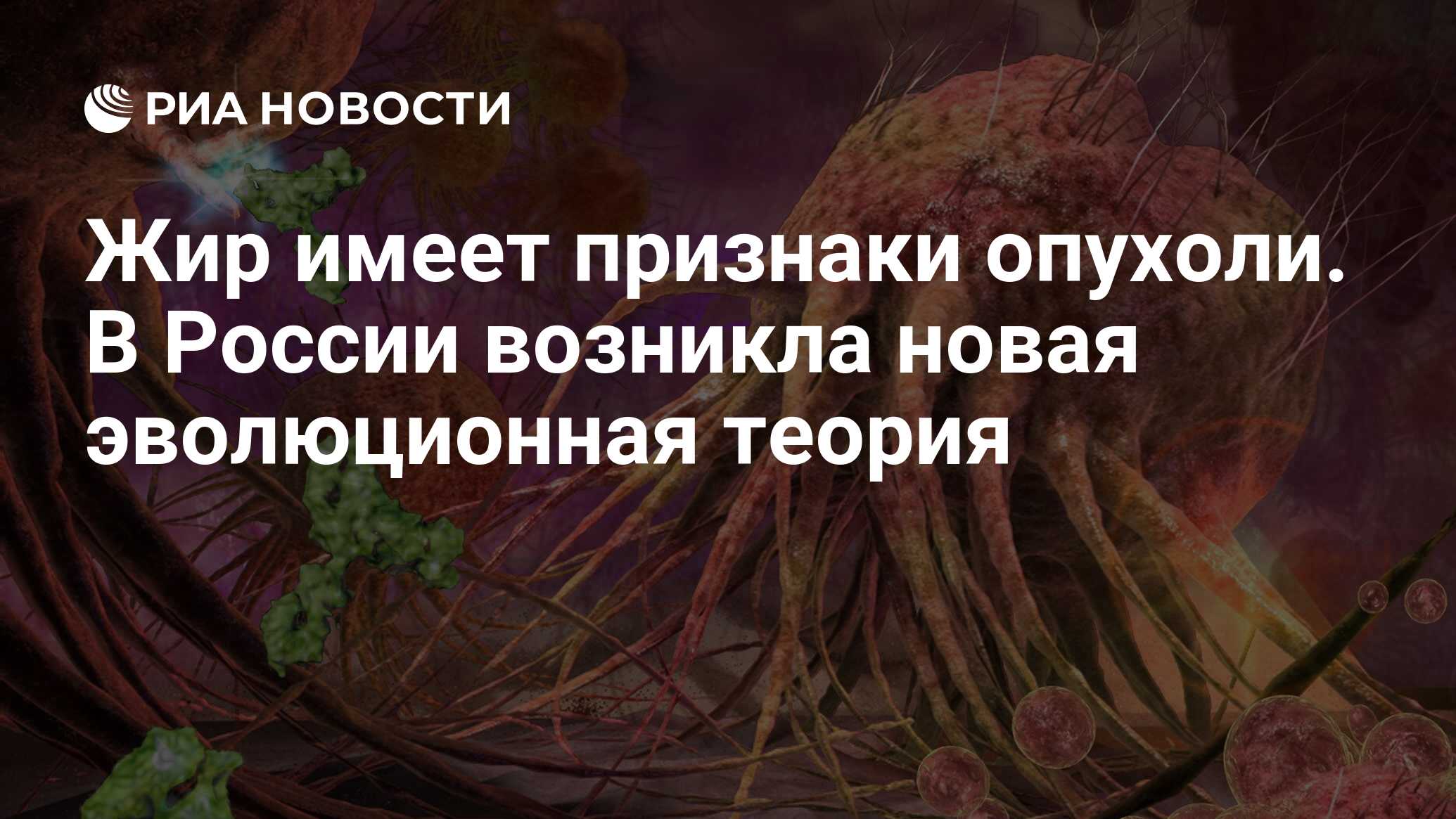 Жир имеет признаки опухоли. В России возникла новая эволюционная теория -  РИА Новости, 11.10.2022