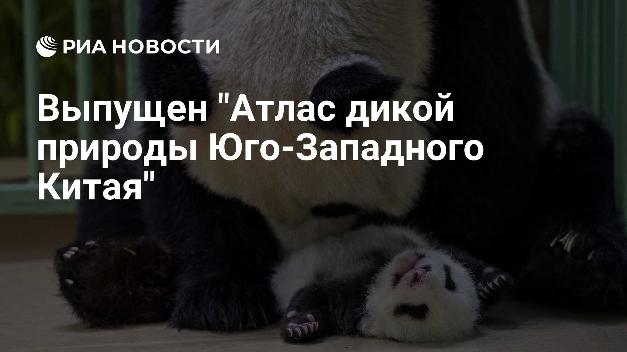 Выпущен "Атлас дикой природы Юго-Западного Китая" - РИА Новости, 11.10.2022