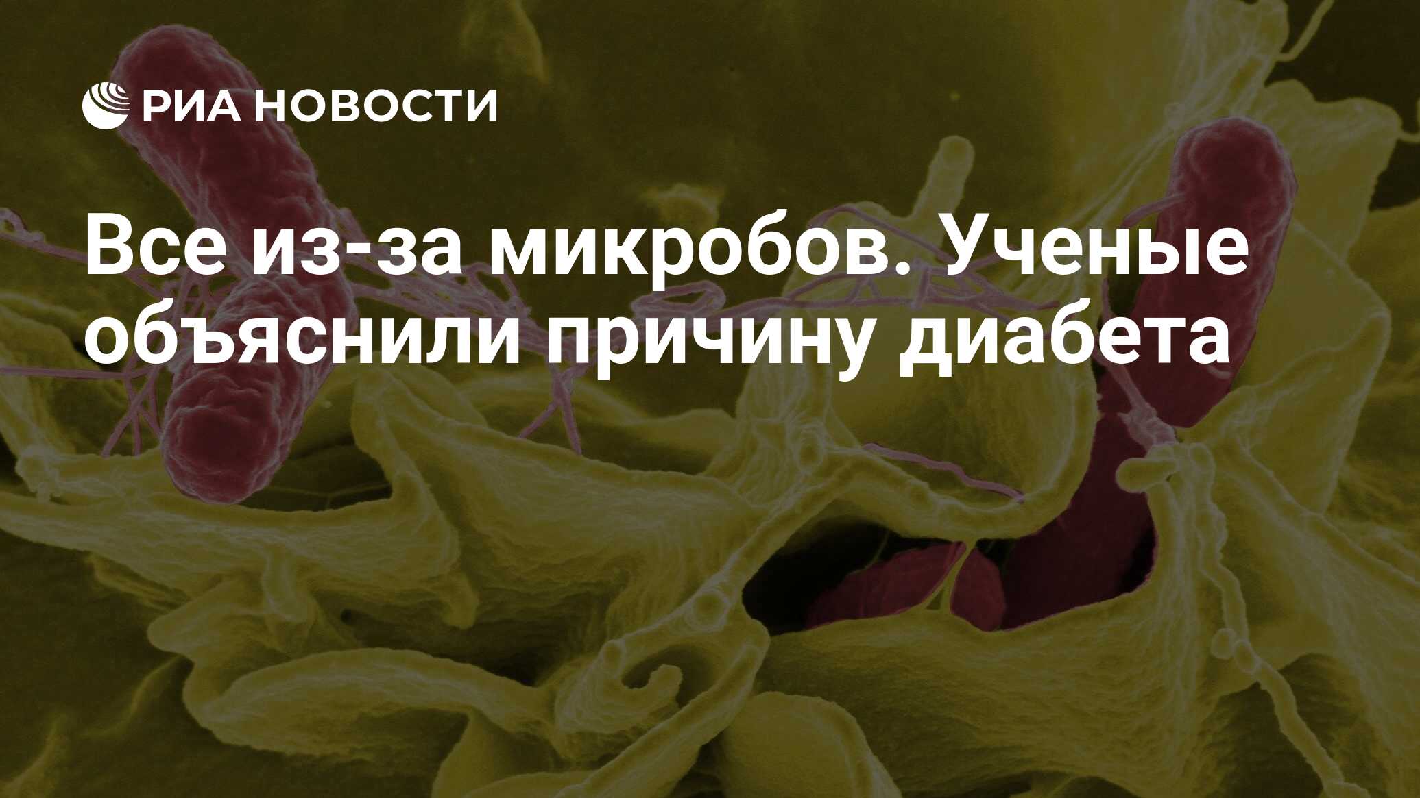 Все из-за микробов. Ученые объяснили причину диабета - РИА Новости,  21.10.2022