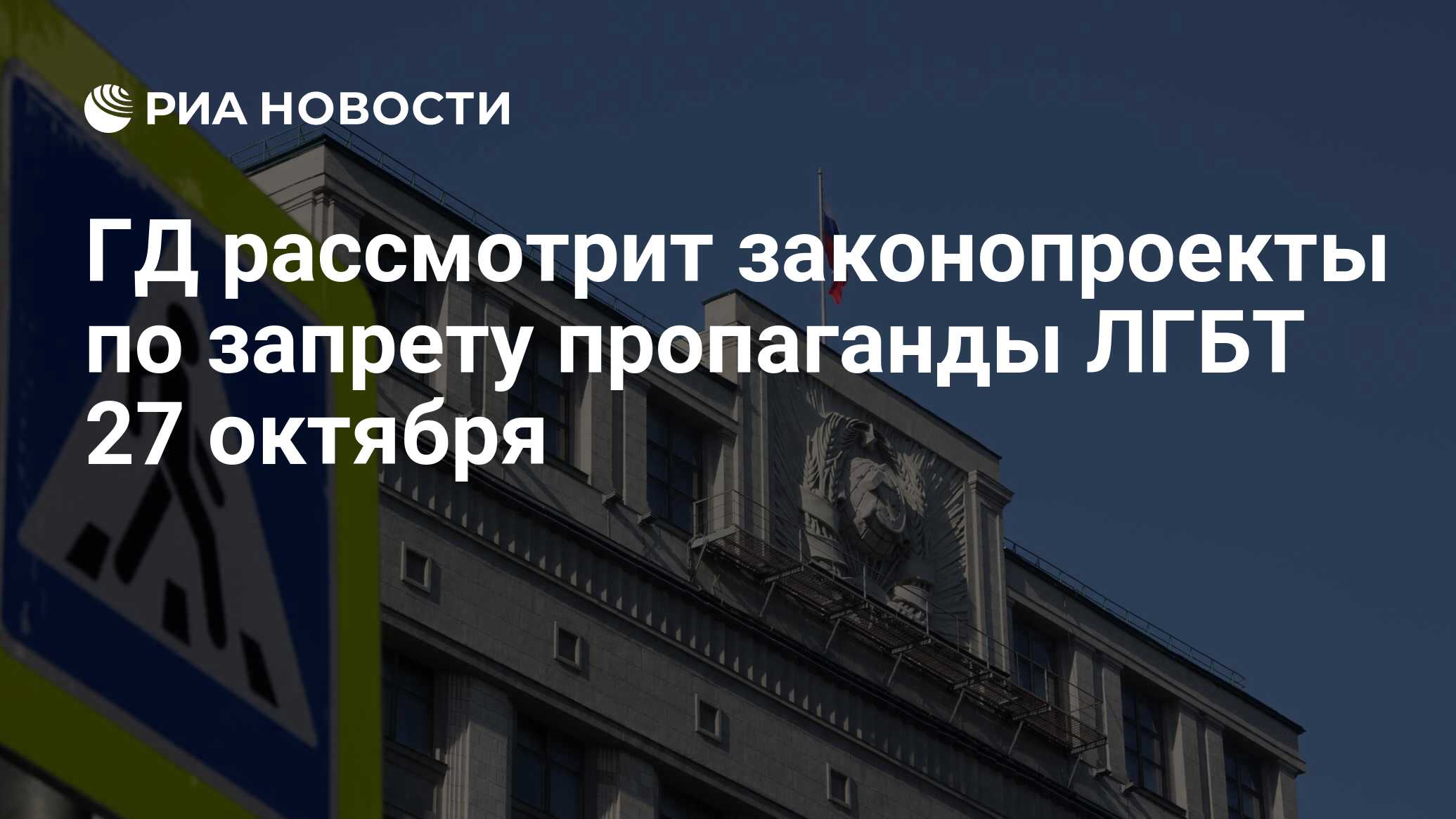 ГД рассмотрит законопроекты по запрету пропаганды ЛГБТ 27 октября - РИА  Новости, 18.10.2022