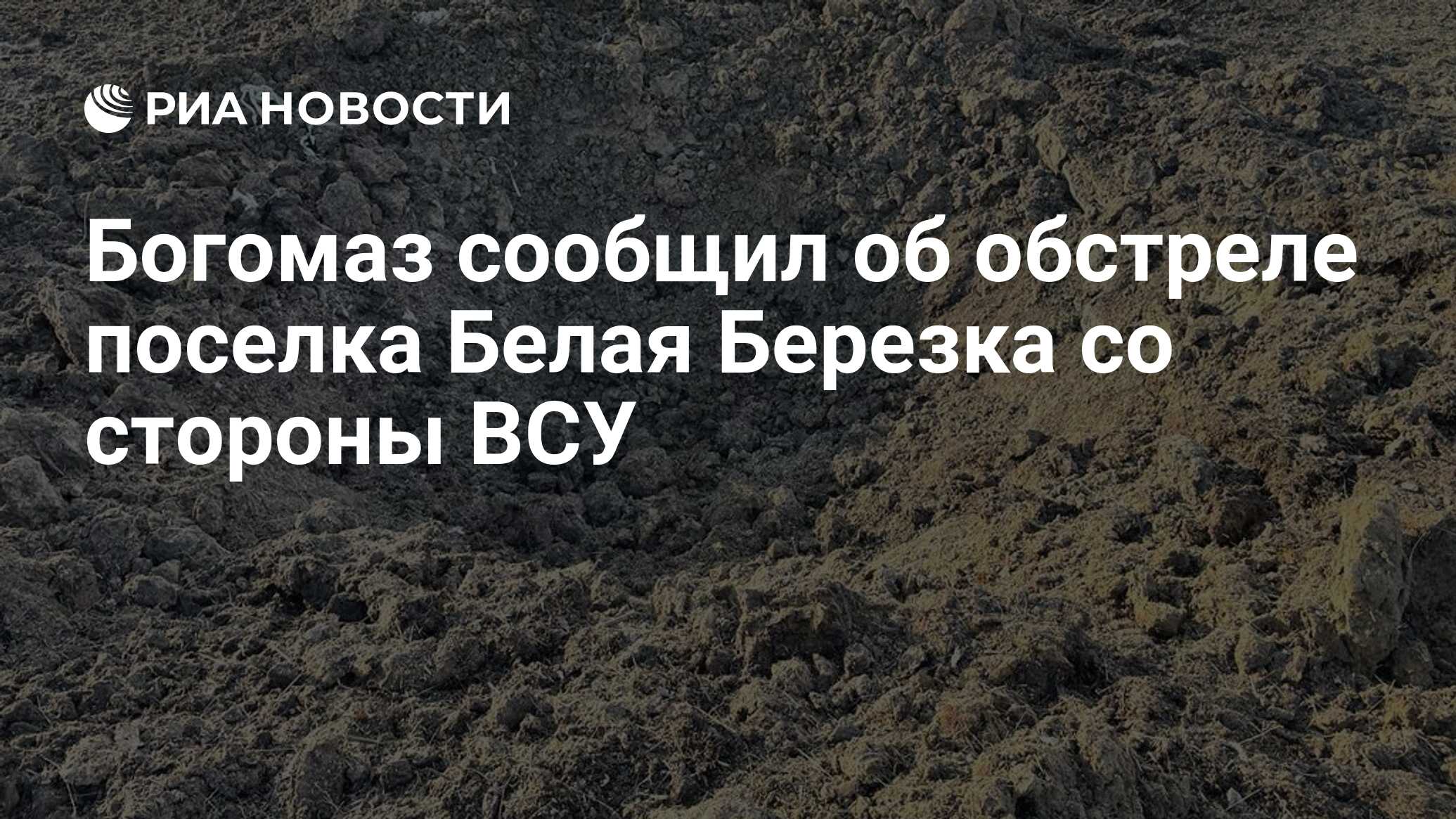 Новости в белой березке. Новости в белой березке