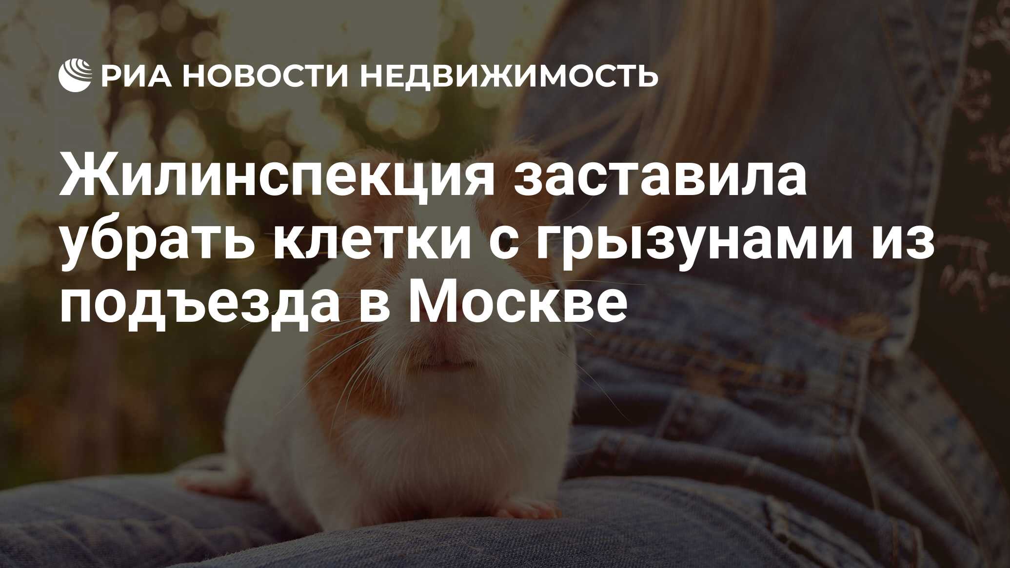 Жилинспекция заставила убрать клетки с грызунами из подъезда в Москве -  Недвижимость РИА Новости, 21.03.2024