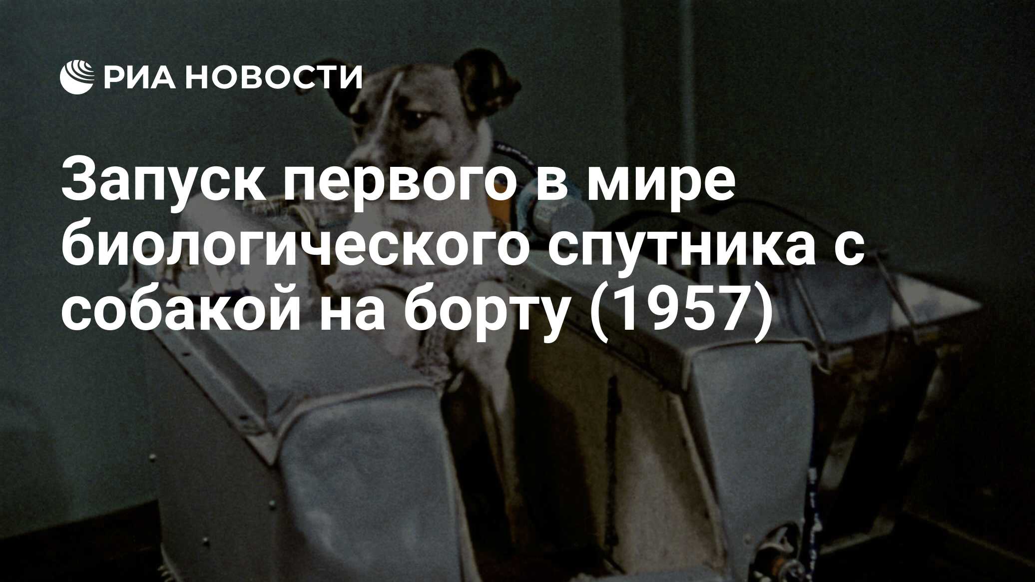 Запуск первого в мире биологического спутника с собакой на борту (1957) -  РИА Новости, 03.11.2022