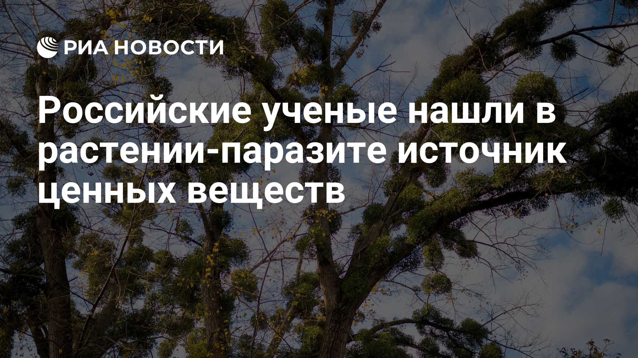 Российские ученые нашли в растении-паразите источник ценных веществ - РИА  Новости, 02.11.2022