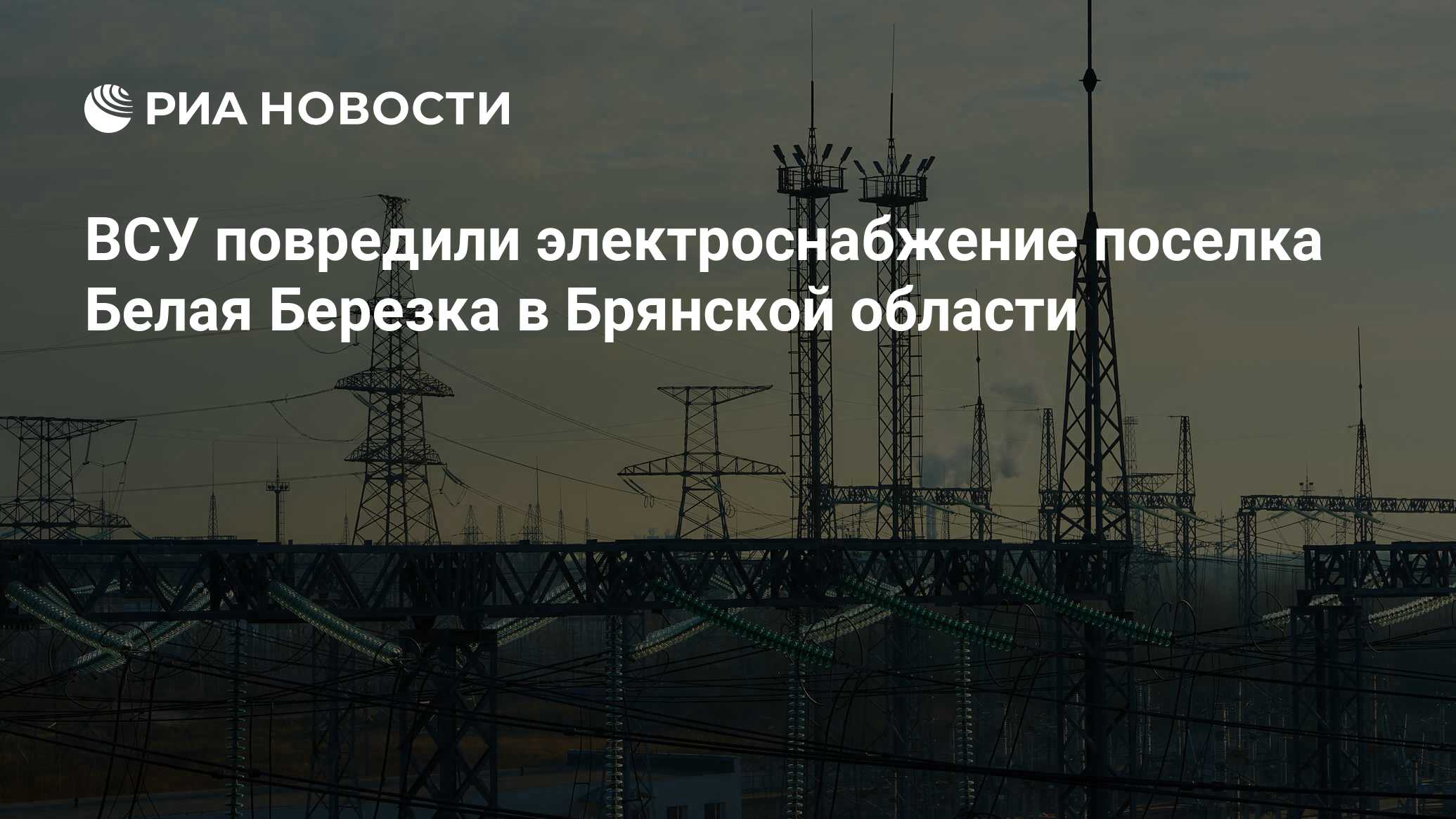 Новости в белой березке. Новости в белой березке