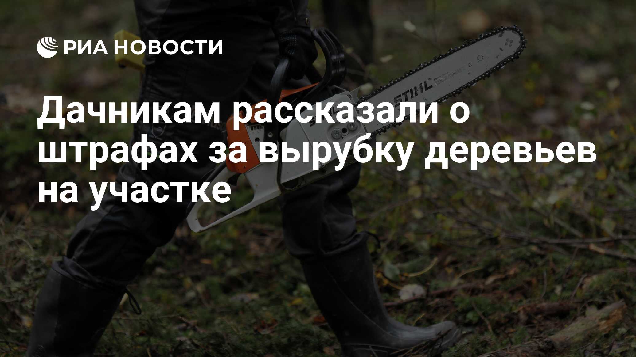 Дачникам рассказали о штрафах за вырубку деревьев на участке - РИА ...