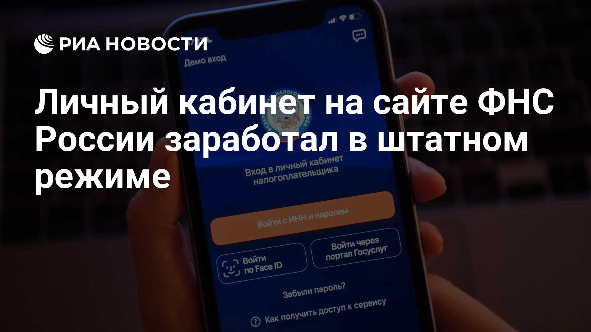 Личный кабинет на сайте ФНС России заработал в штатном режиме - РИА  Новости, 28.11.2022