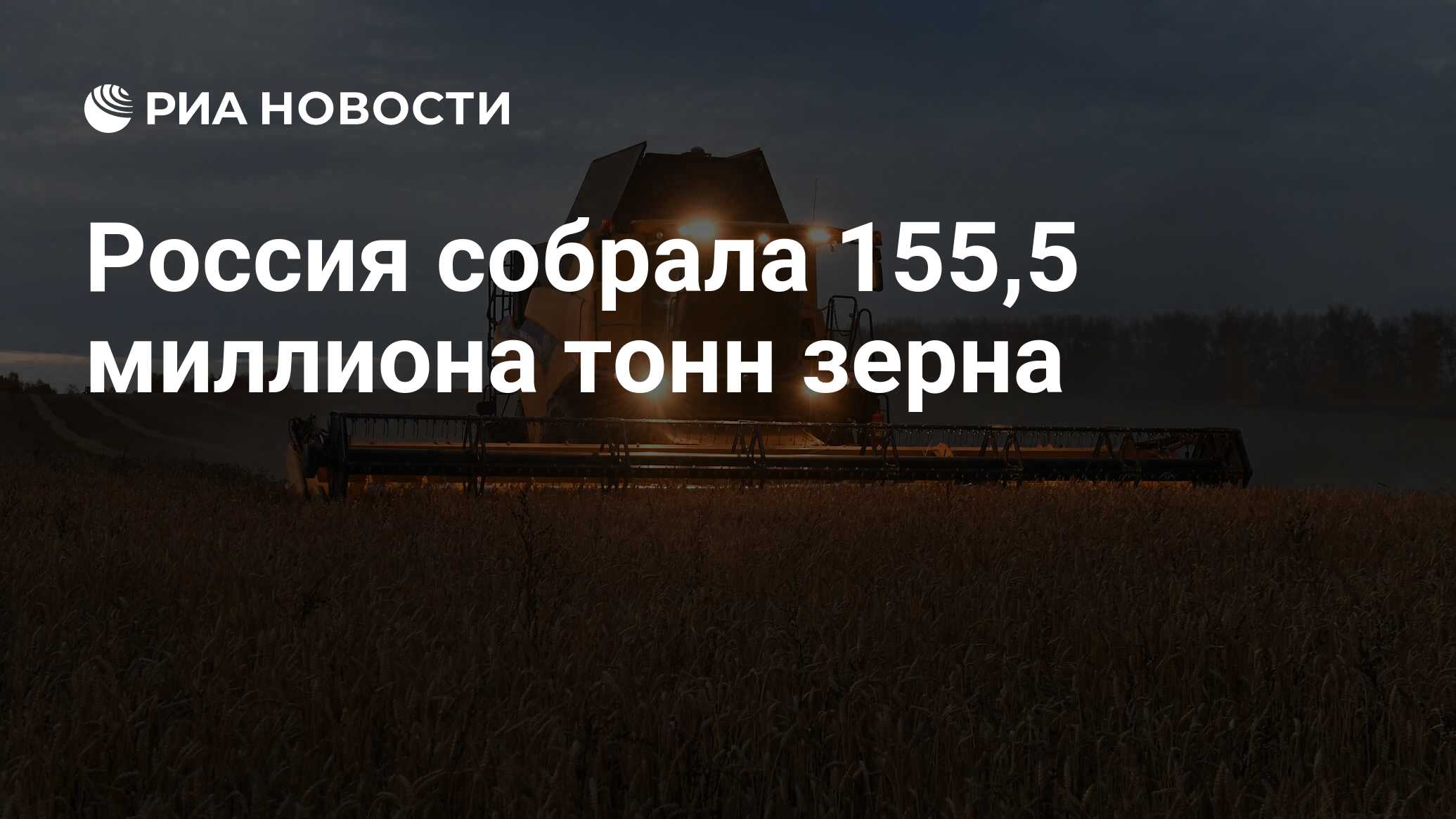 Россия собрала 155,5 миллиона тонн зерна - РИА Новости, 29.11.2022