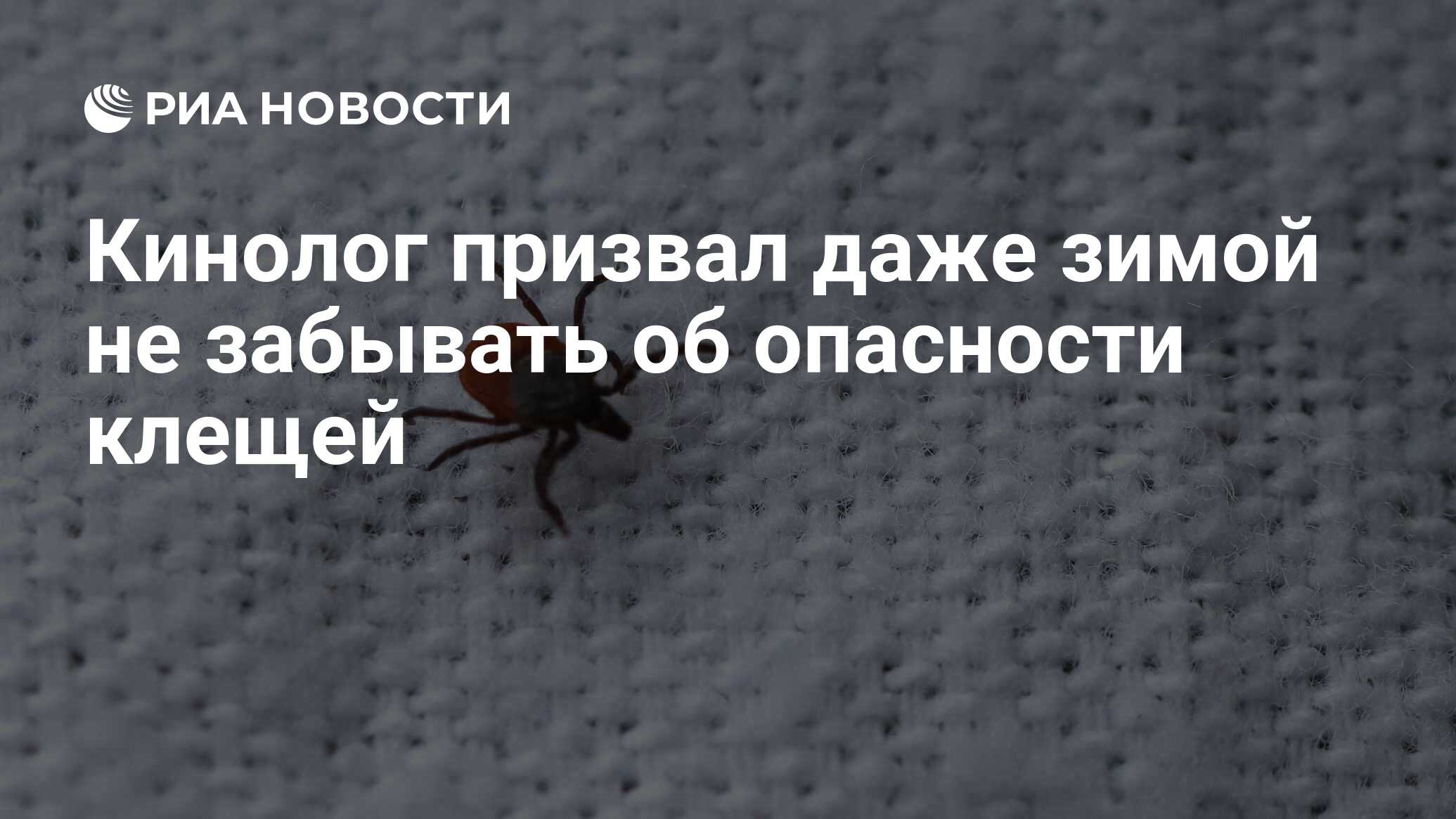 Кинолог призвал даже зимой не забывать об опасности клещей - РИА Новости,  04.12.2022