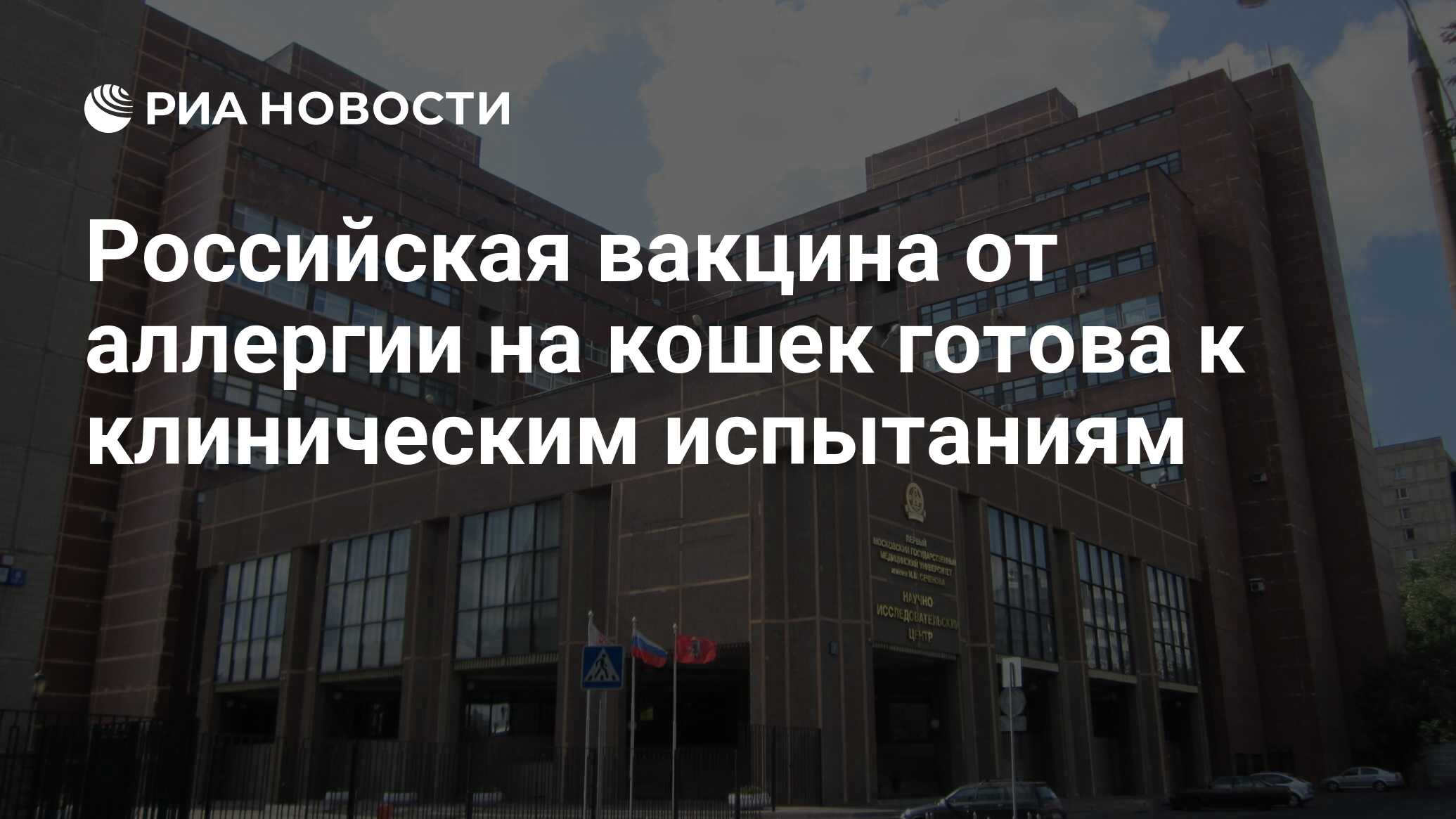 Российская вакцина от аллергии на кошек готова к клиническим испытаниям ...