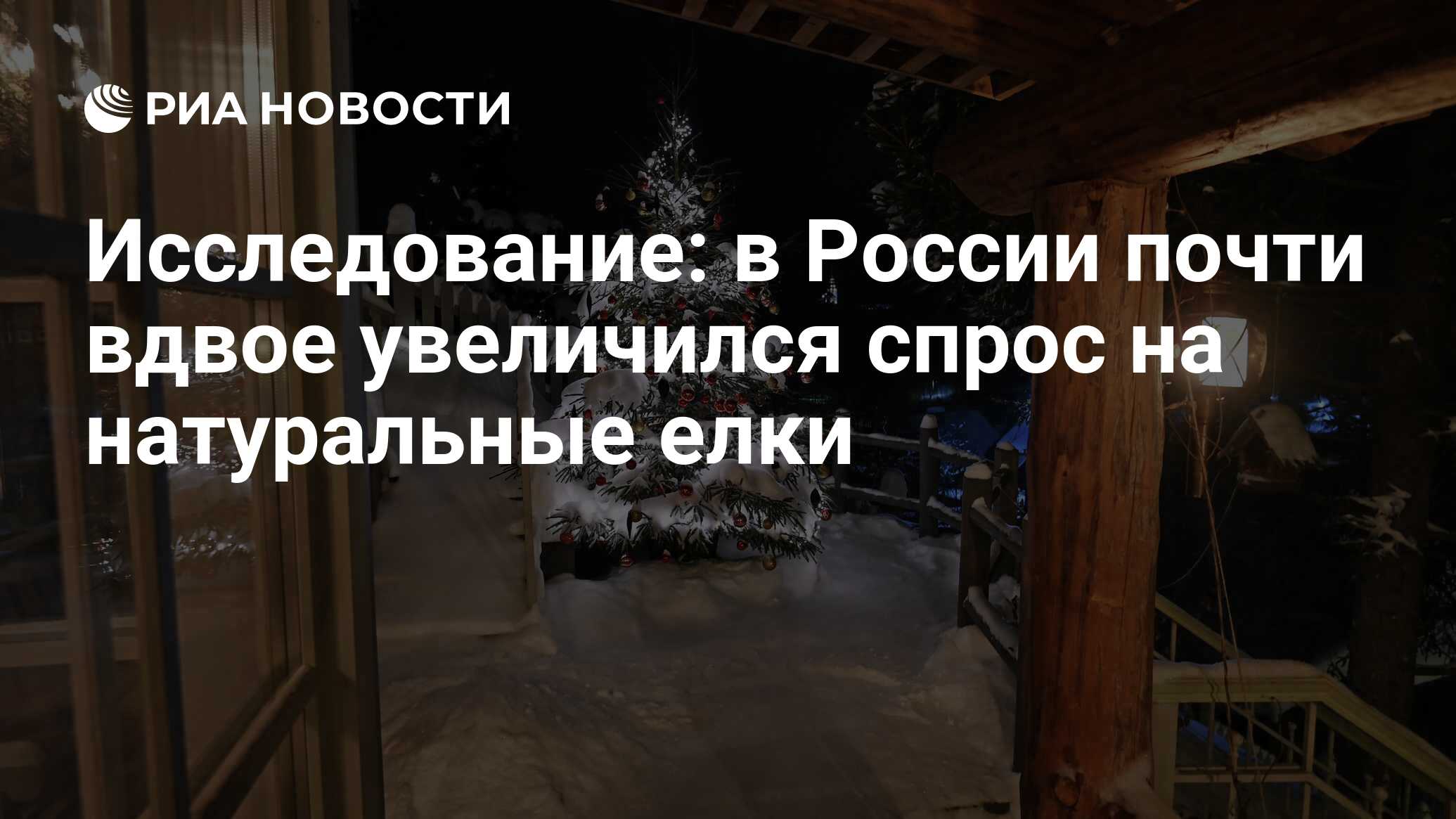 Исследование: в России почти вдвое увеличился спрос на натуральные елки -  РИА Новости, 12.12.2022