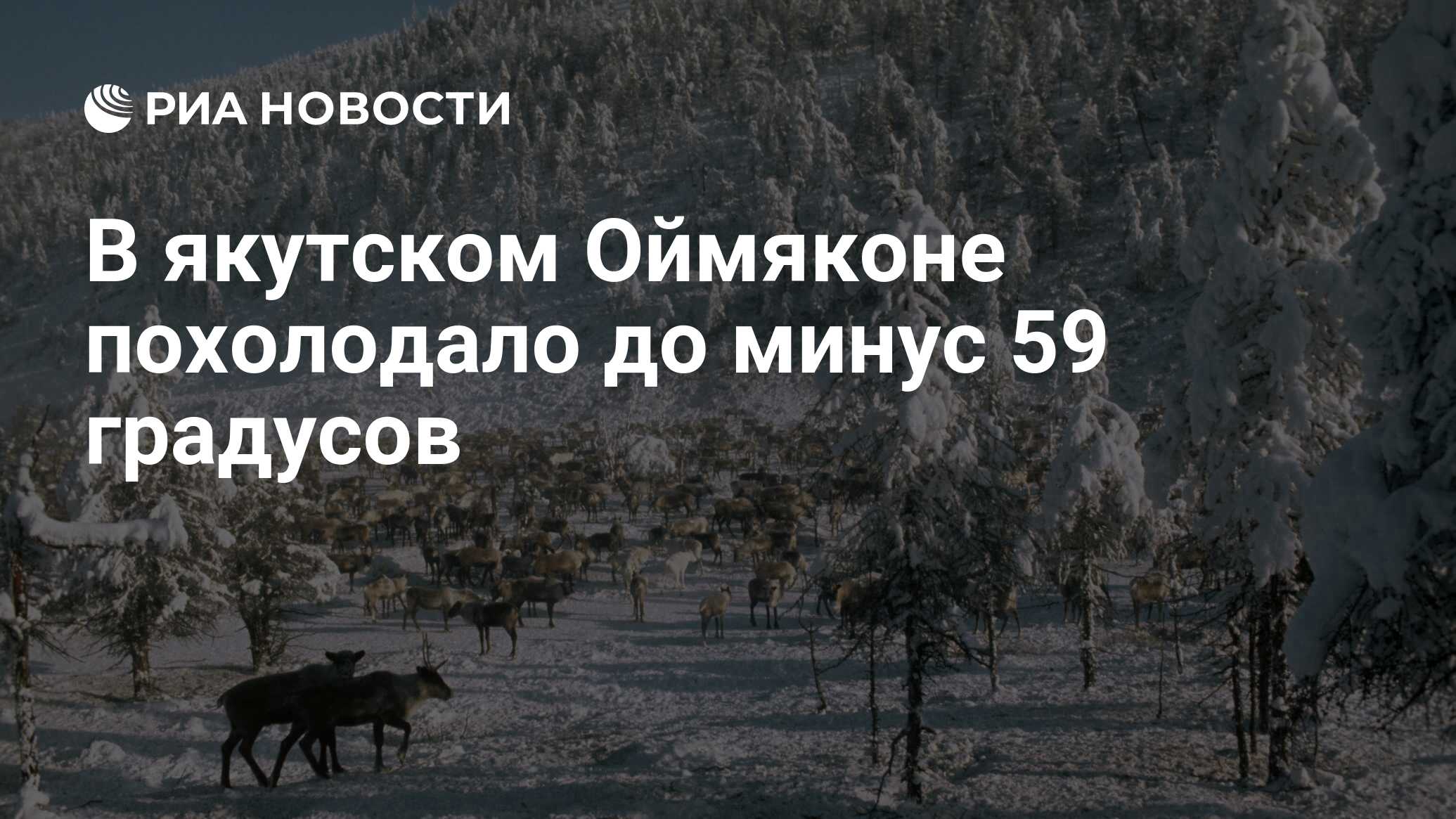 59 градусов