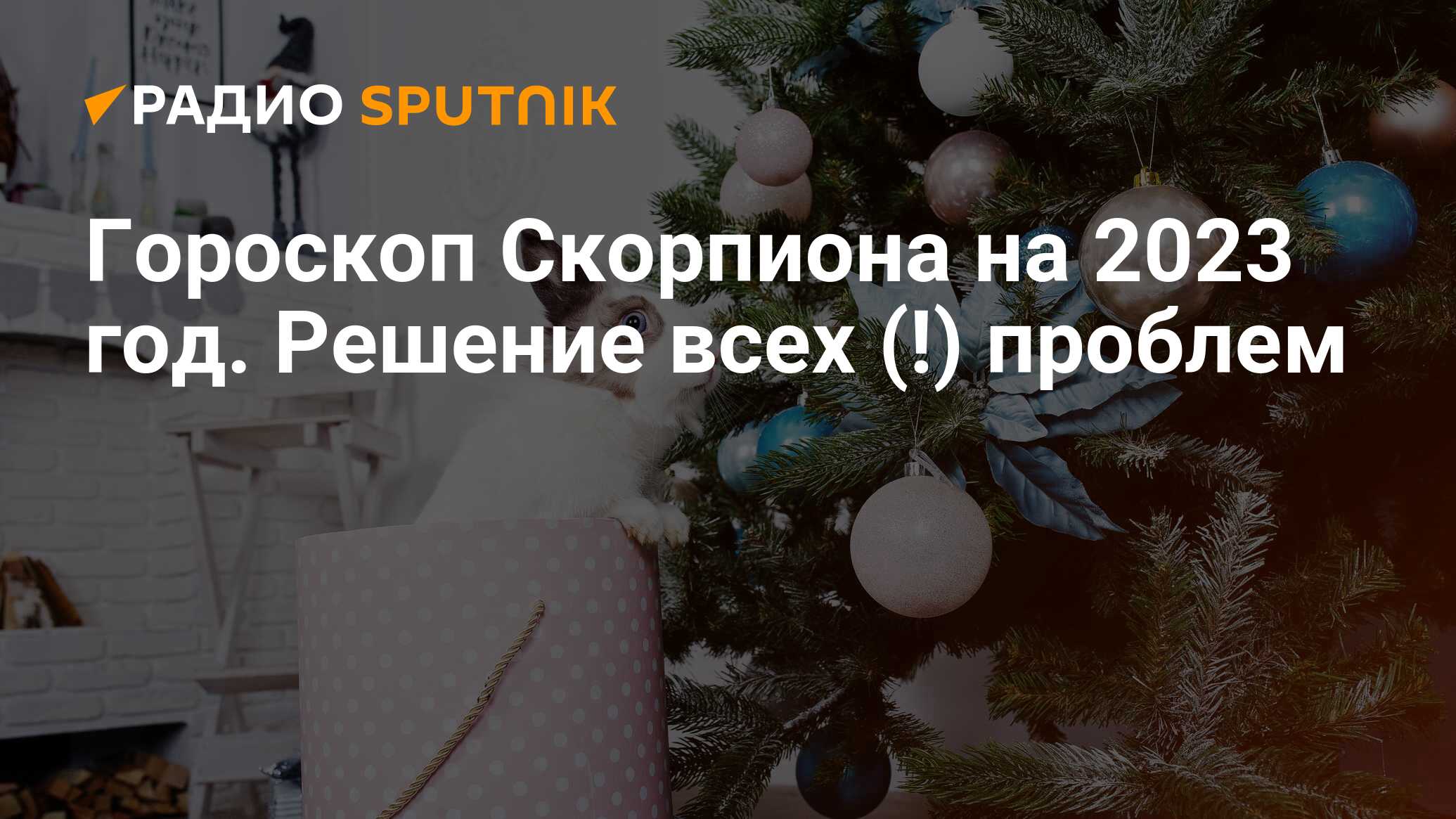 Гороскоп на 2023 Скорпион: самый точный для женщин и мужчин в год Кролика