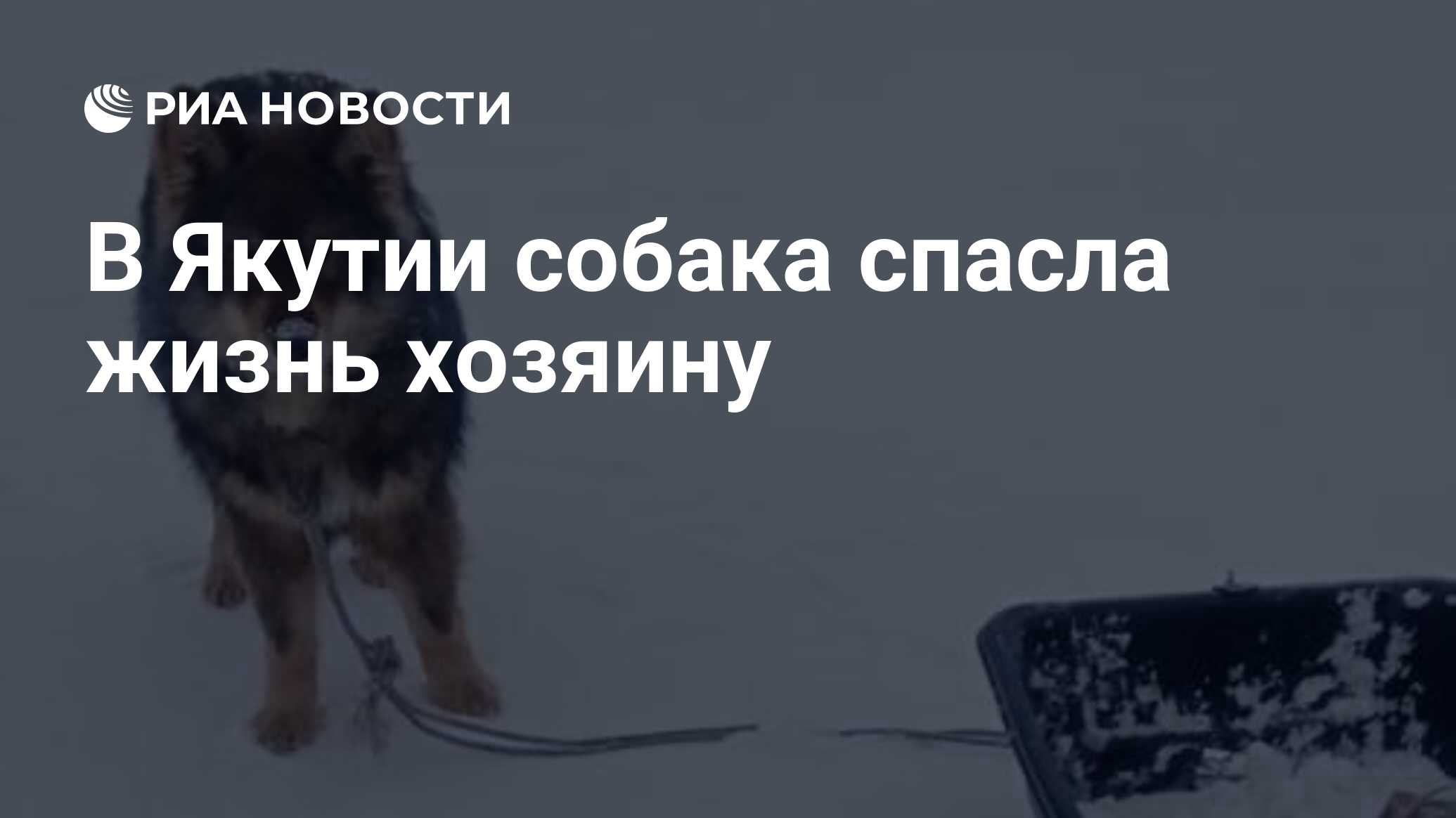 Фотография которая спасла жизнь фильм