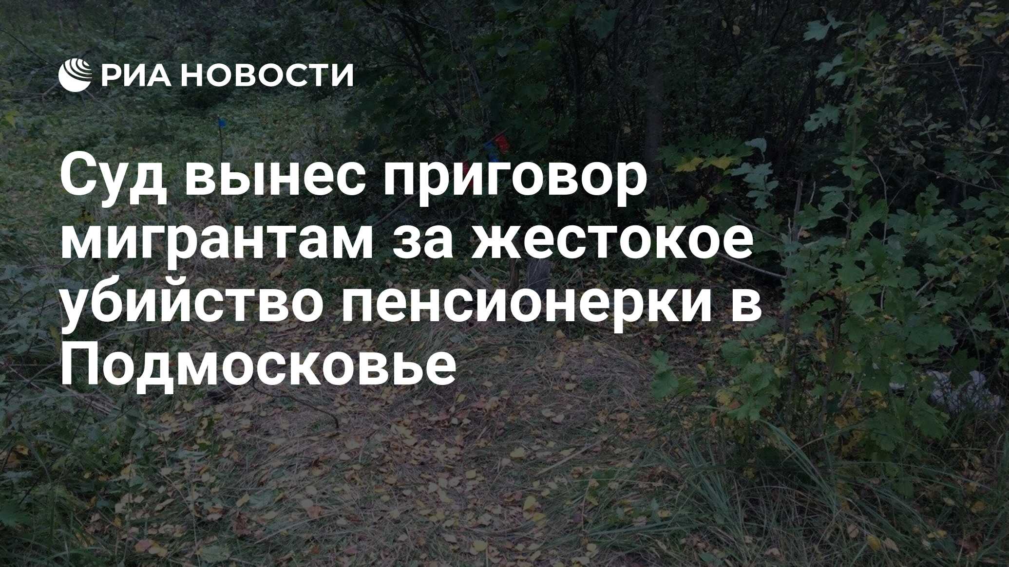 Суд вынес приговор мигрантам за жестокое убийство пенсионерки в Подмосковье  - РИА Новости, 29.12.2022