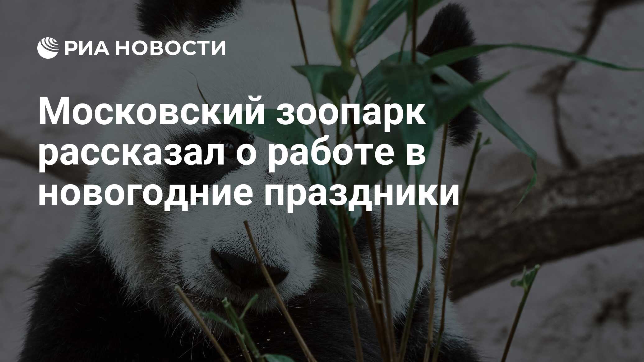 Московский зоопарк рассказал о работе в новогодние праздники - РИА Новости,  30.12.2022