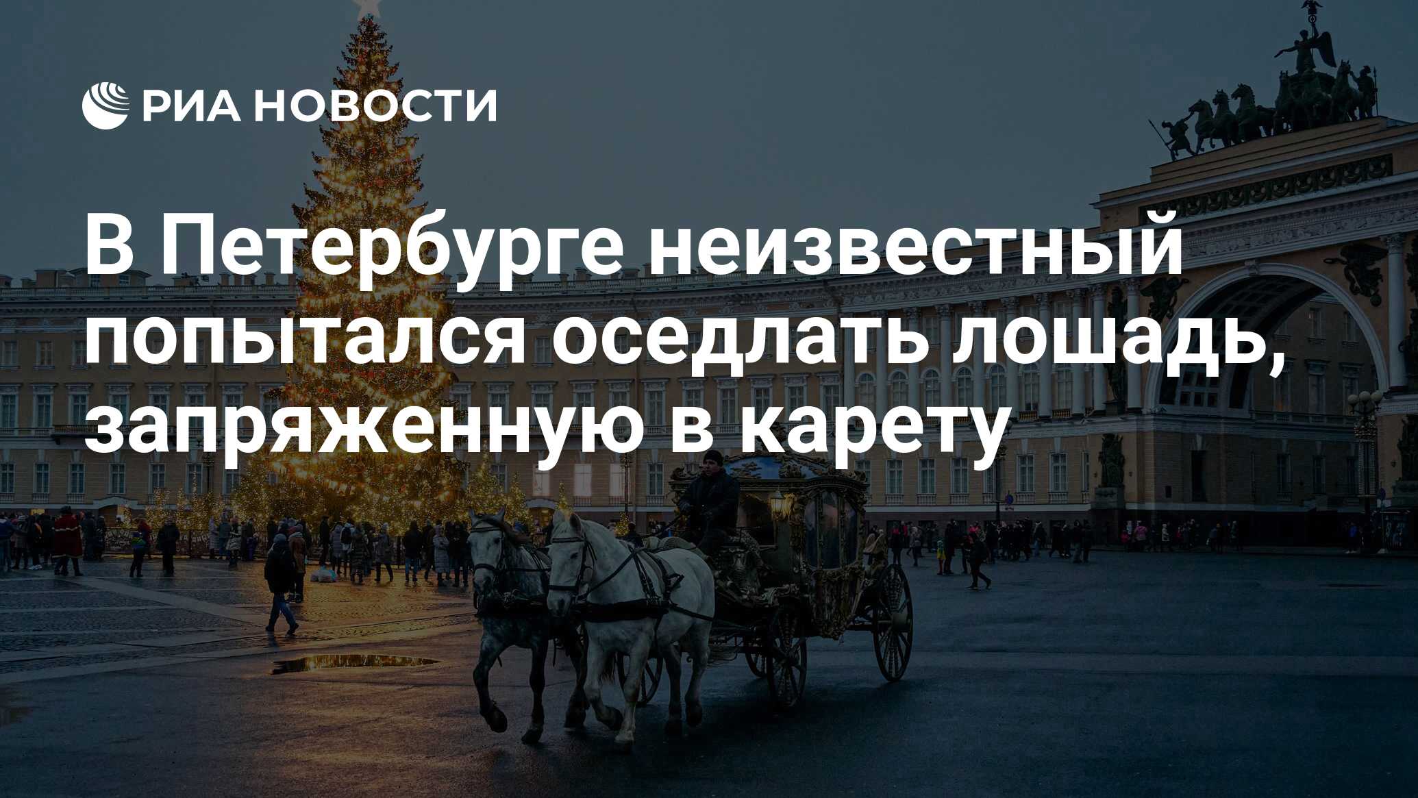 В Петербурге неизвестный попытался оседлать лошадь, запряженную в карету -  РИА Новости, 03.01.2023