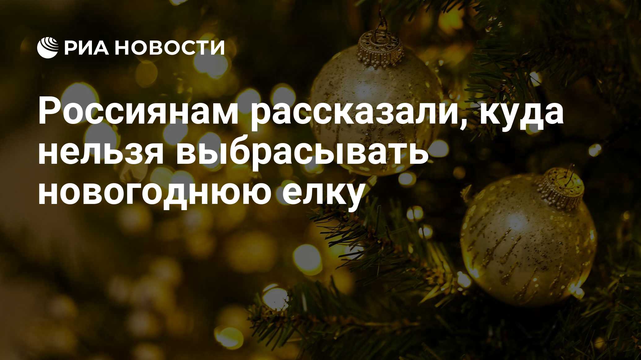 Россиянам рассказали, куда нельзя выбрасывать новогоднюю елку - РИА  Новости, 13.01.2023