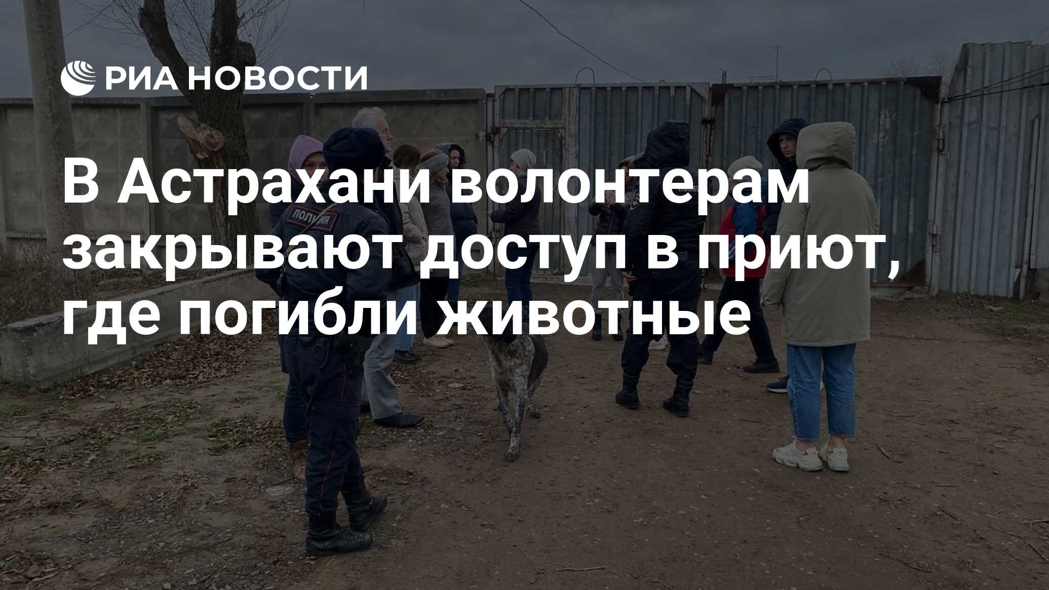 В Астрахани волонтерам закрывают доступ в приют, где погибли животные - РИА  Новости, 13.01.2023