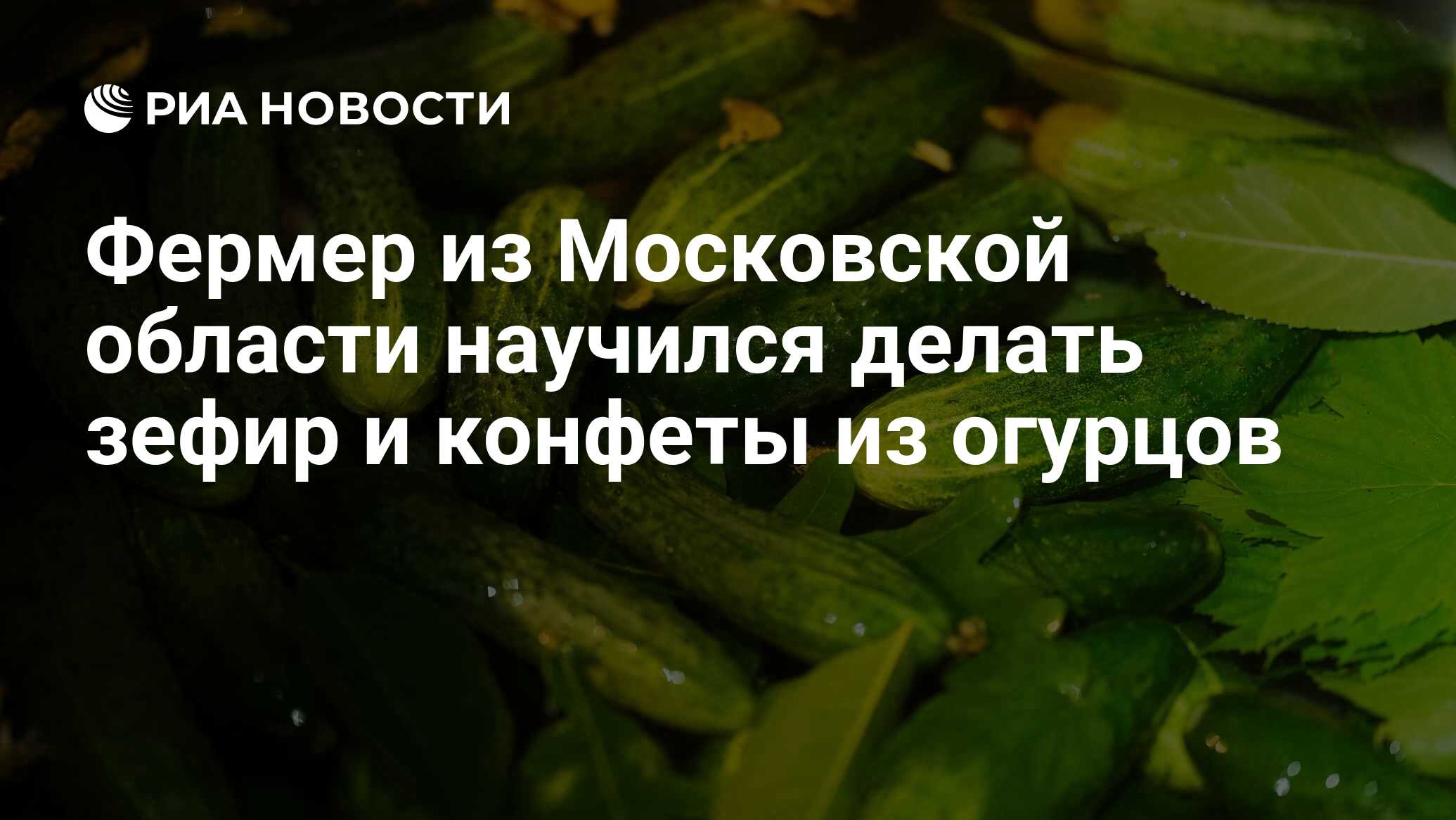 Фермер из Московской области научился делать зефир и конфеты из огурцов -  РИА Новости, 13.01.2023