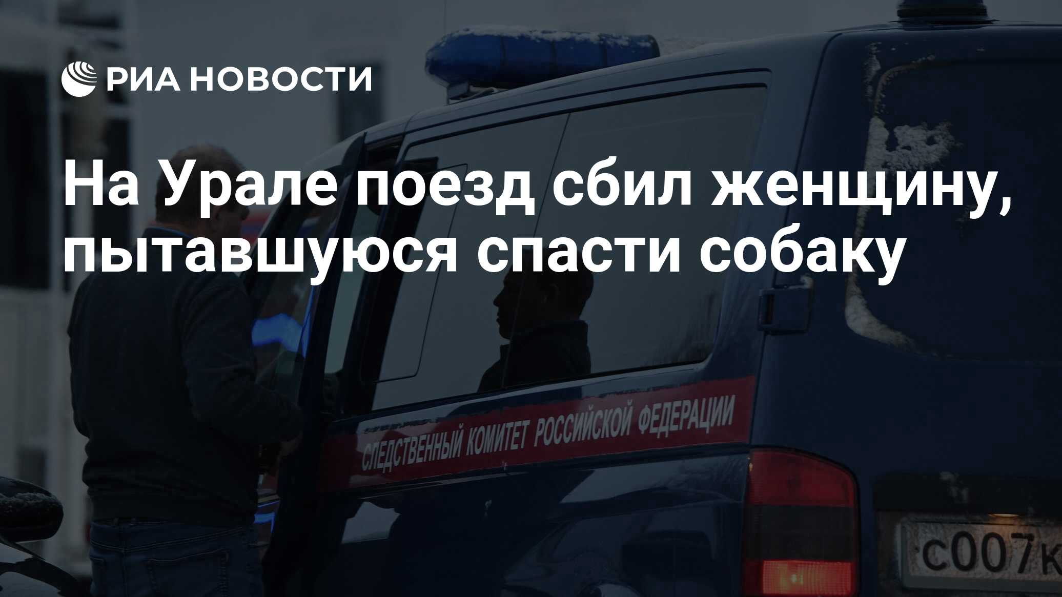 На Урале поезд сбил женщину, пытавшуюся спасти собаку - РИА Новости,  17.01.2023