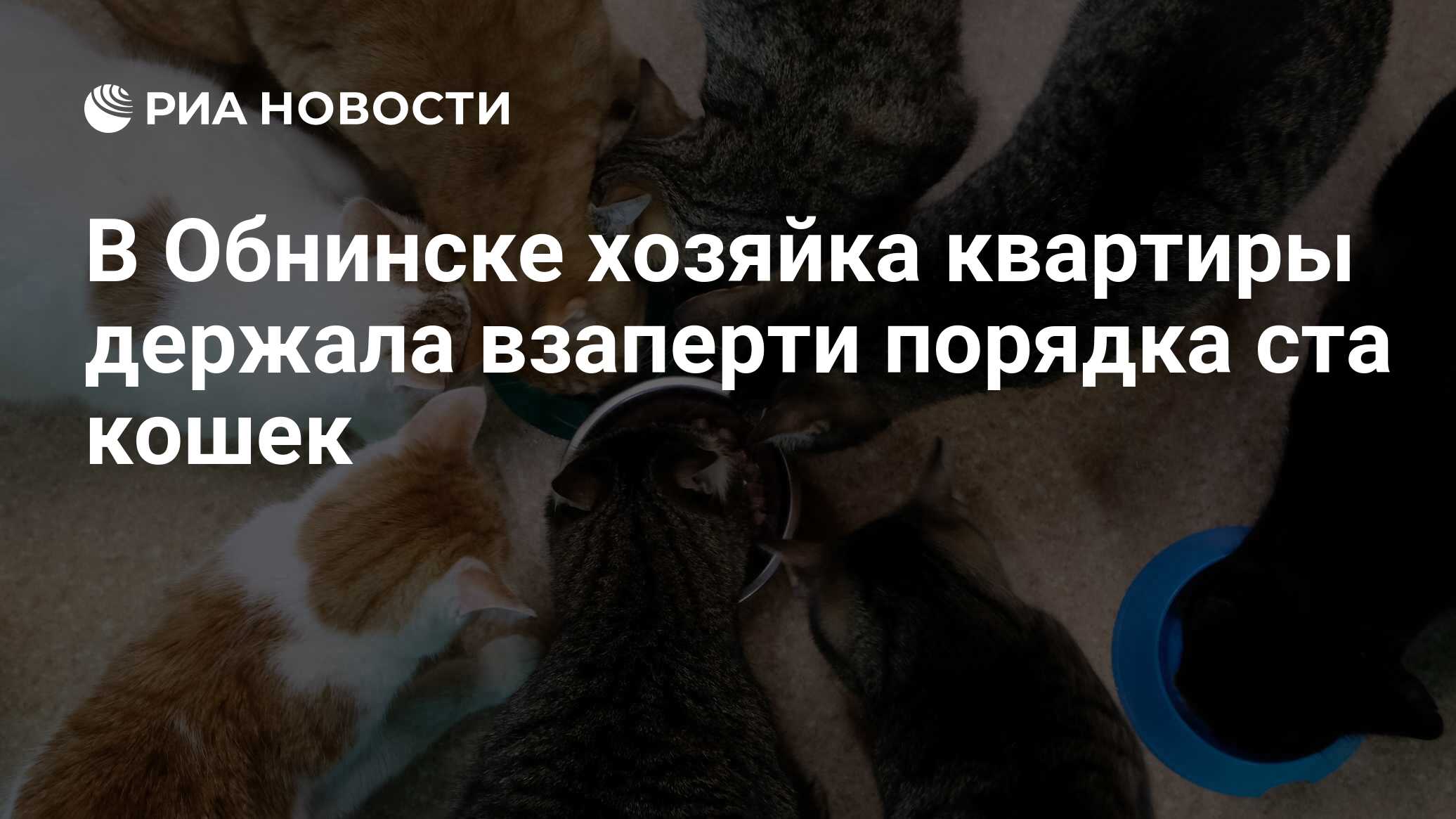 В Обнинске хозяйка квартиры держала взаперти порядка ста кошек - РИА  Новости, 22.01.2023