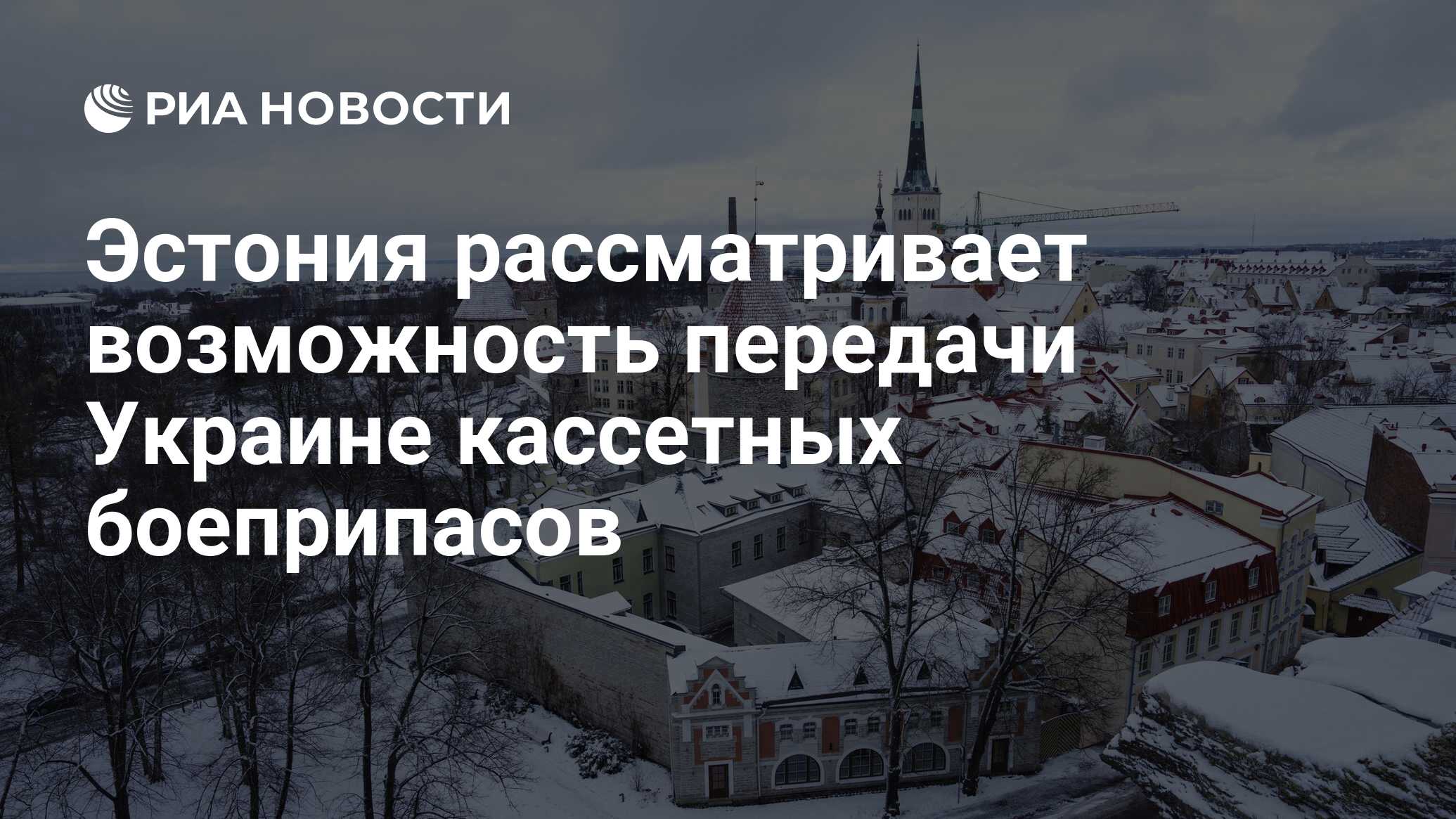 Эстония рассмотрит. Жители Таллина. Эстонская разведка. Эстония. Эстония 2023.