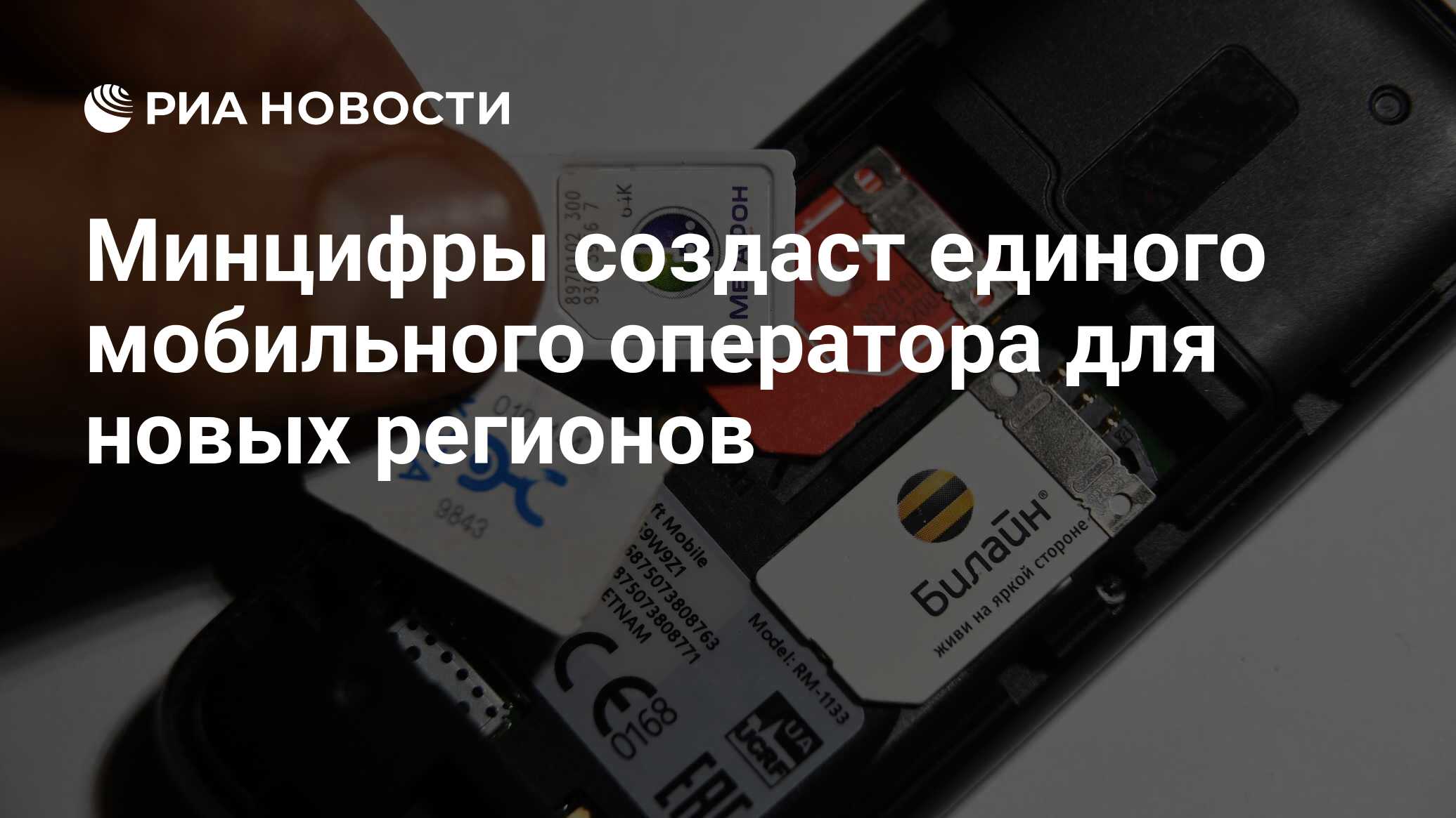 Минцифры создаст единого мобильного оператора для новых регионов - РИА  Новости, 10.02.2023