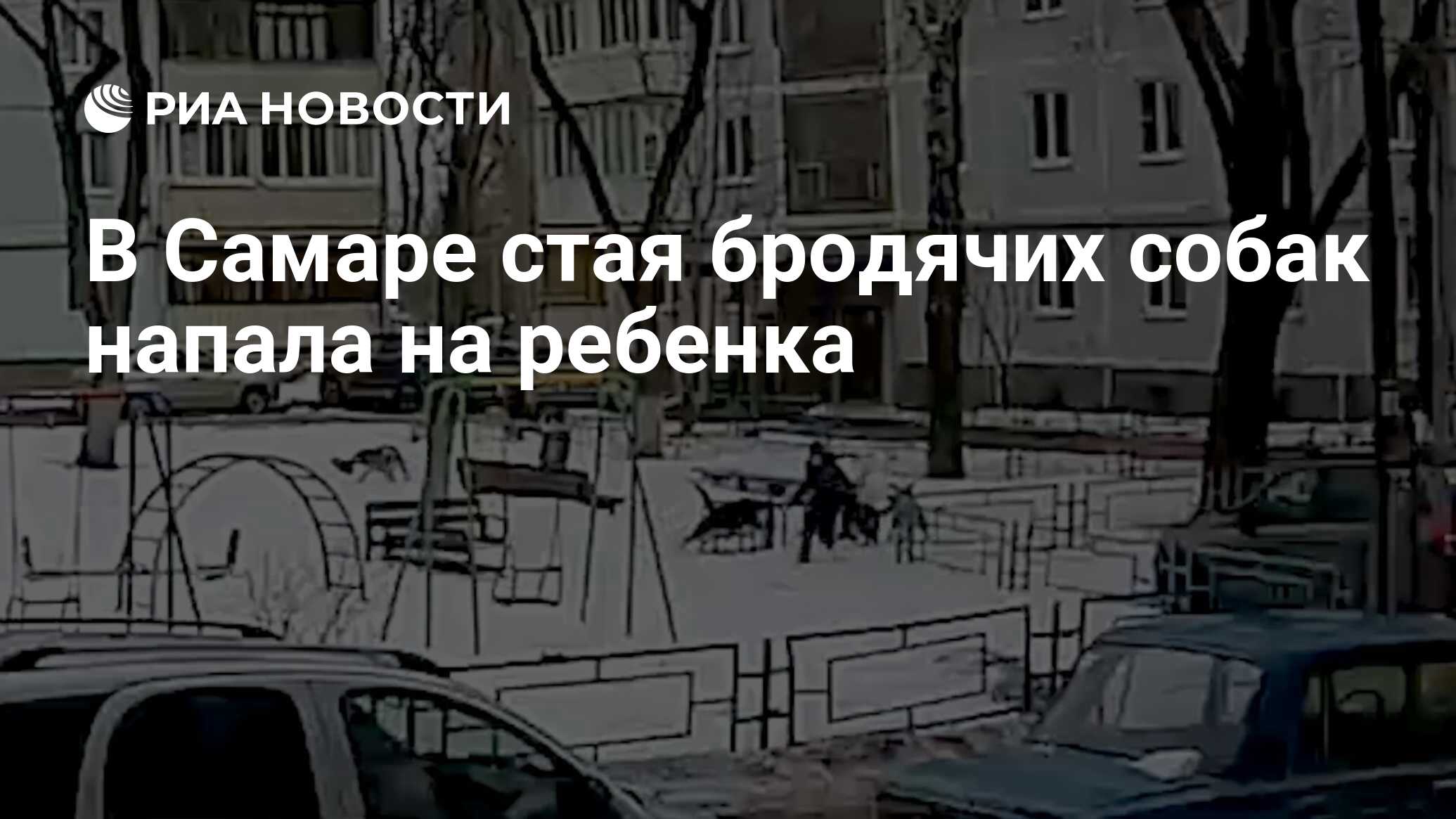 Нападение стаи собак на мальчика в Самаре