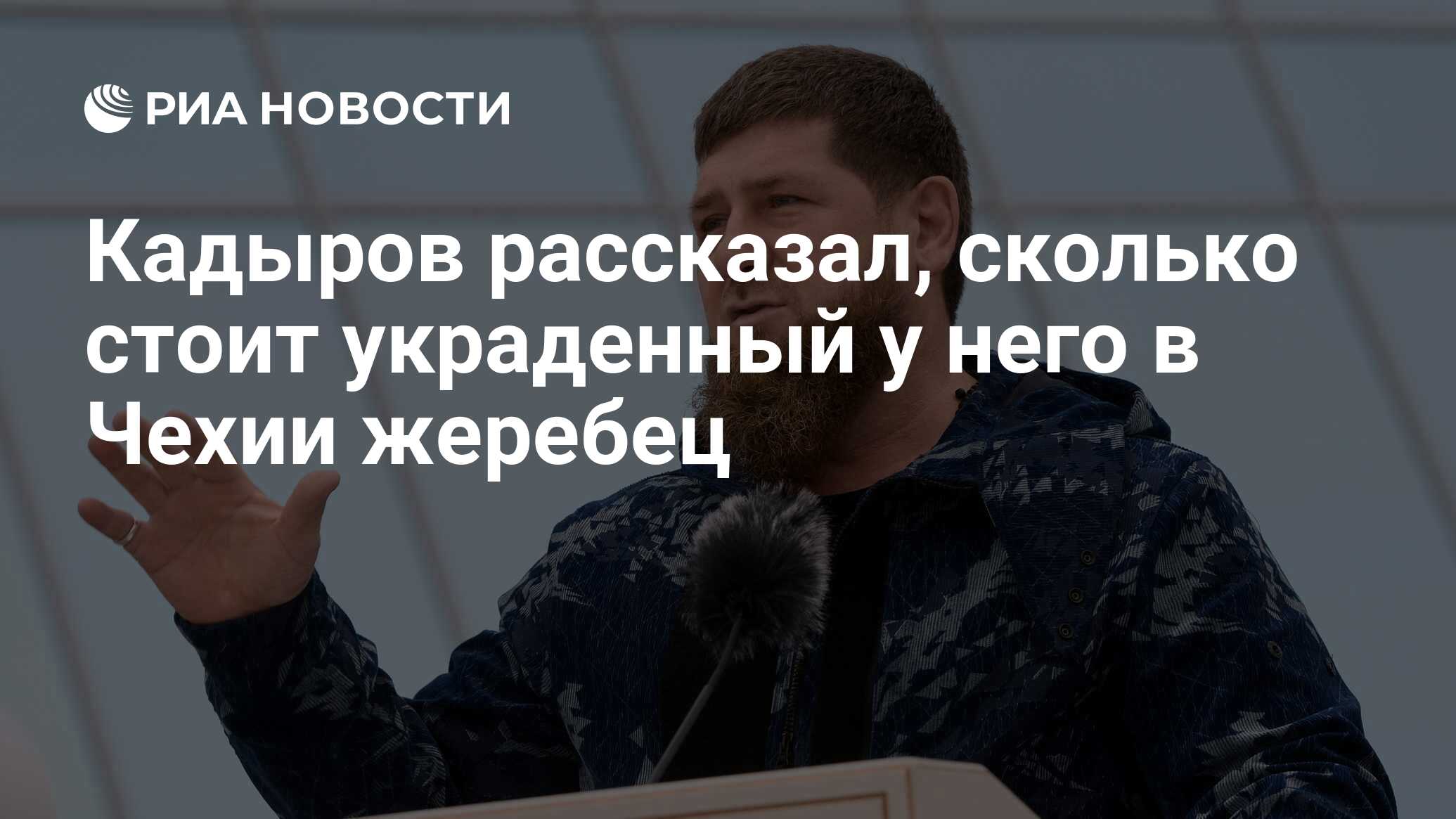 Кадыров рассказал, сколько стоит украденный у него в Чехии жеребец - РИА  Новости, 08.03.2023