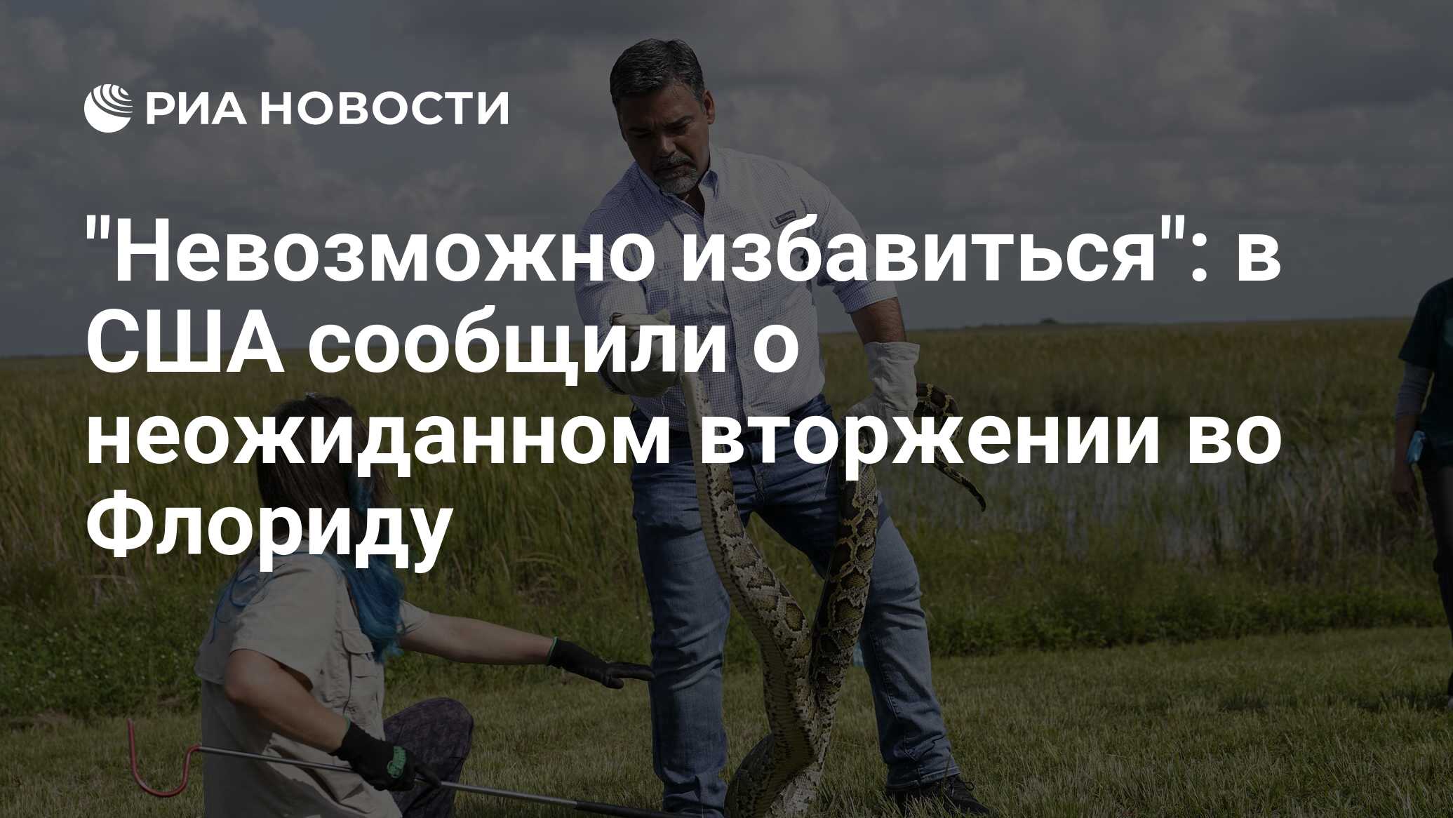 "Невозможно избавиться": в США сообщили о неожиданном вторжении во ...