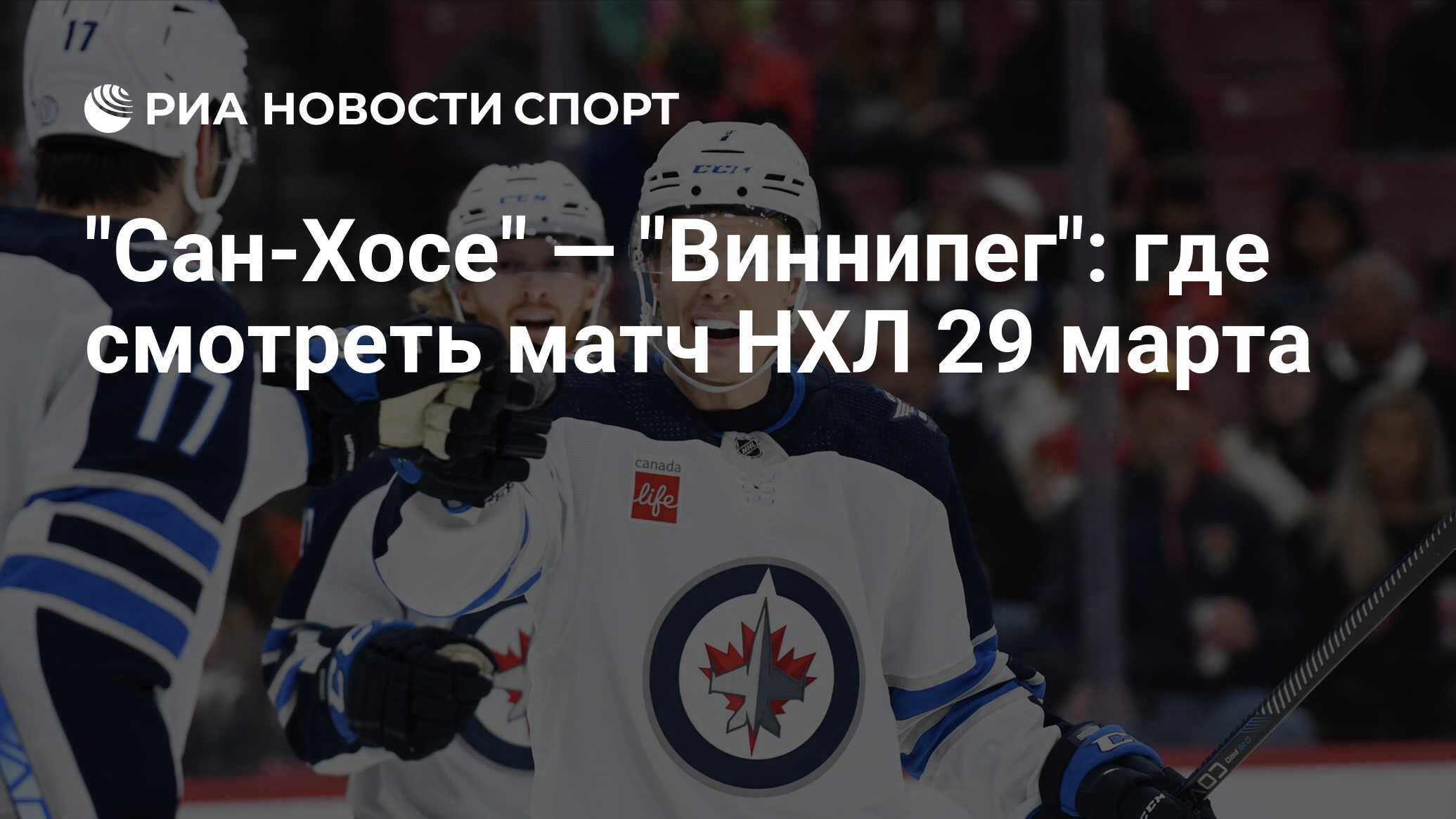 Прогноз на матч виннипег нэшвилл. Прогноз на матч виннипег нэшвилл