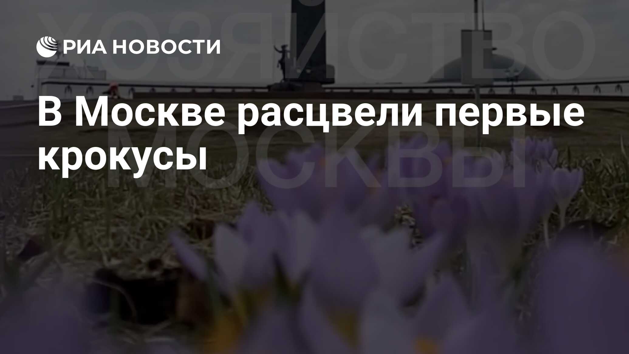 Нападение на крокус от 1 лица. В Москве расцвели крокусы. Москва в апреле 2023 картинки. Шаман Крокус 2023.