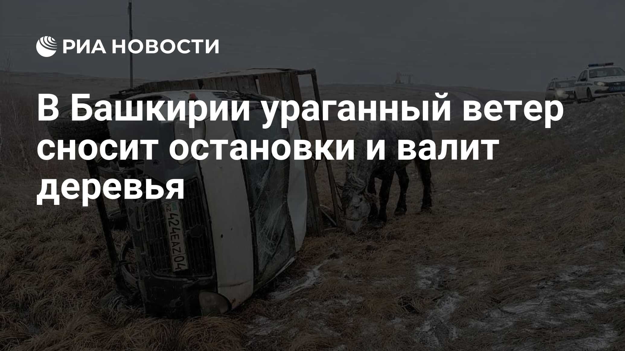 В Башкирии ураганный ветер сносит остановки и валит деревья - РИА Новости,  14.04.2023