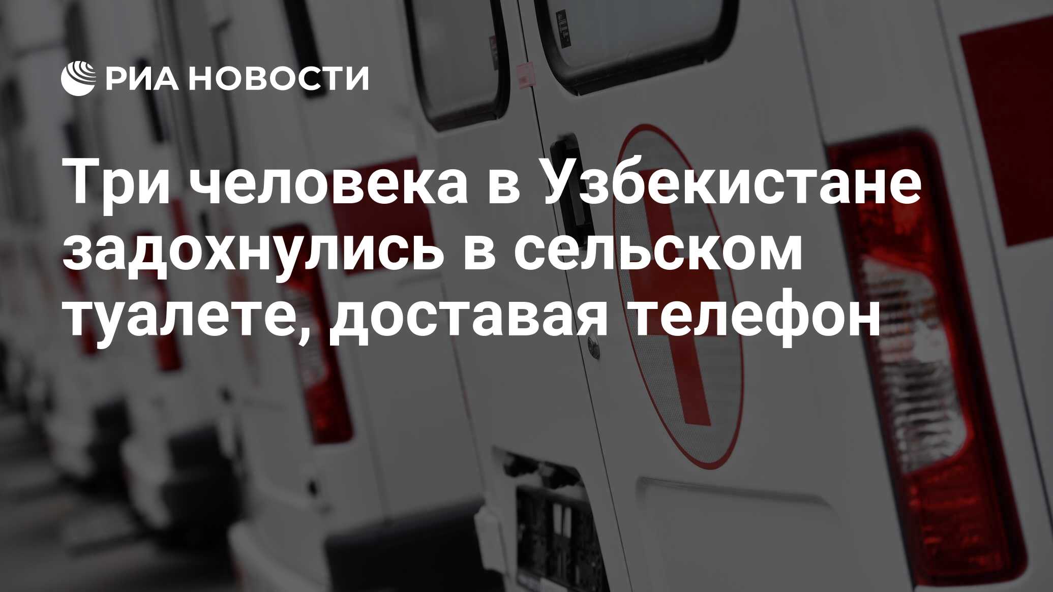 Три человека в Узбекистане задохнулись в сельском туалете, доставая телефон  - РИА Новости, 27.04.2023