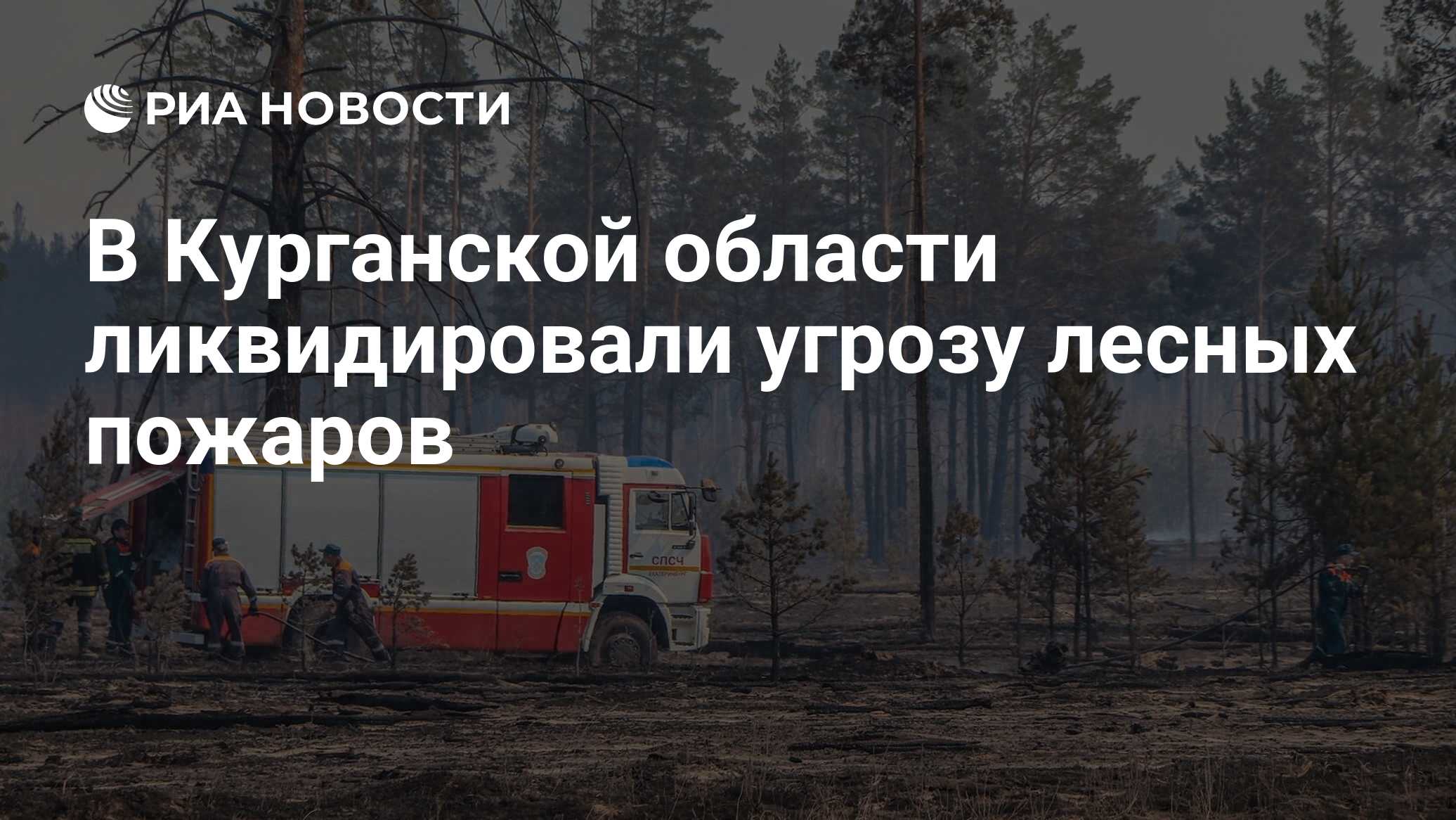 В Курганской области ликвидировали угрозу лесных пожаров - РИА Новости,  28.04.2023