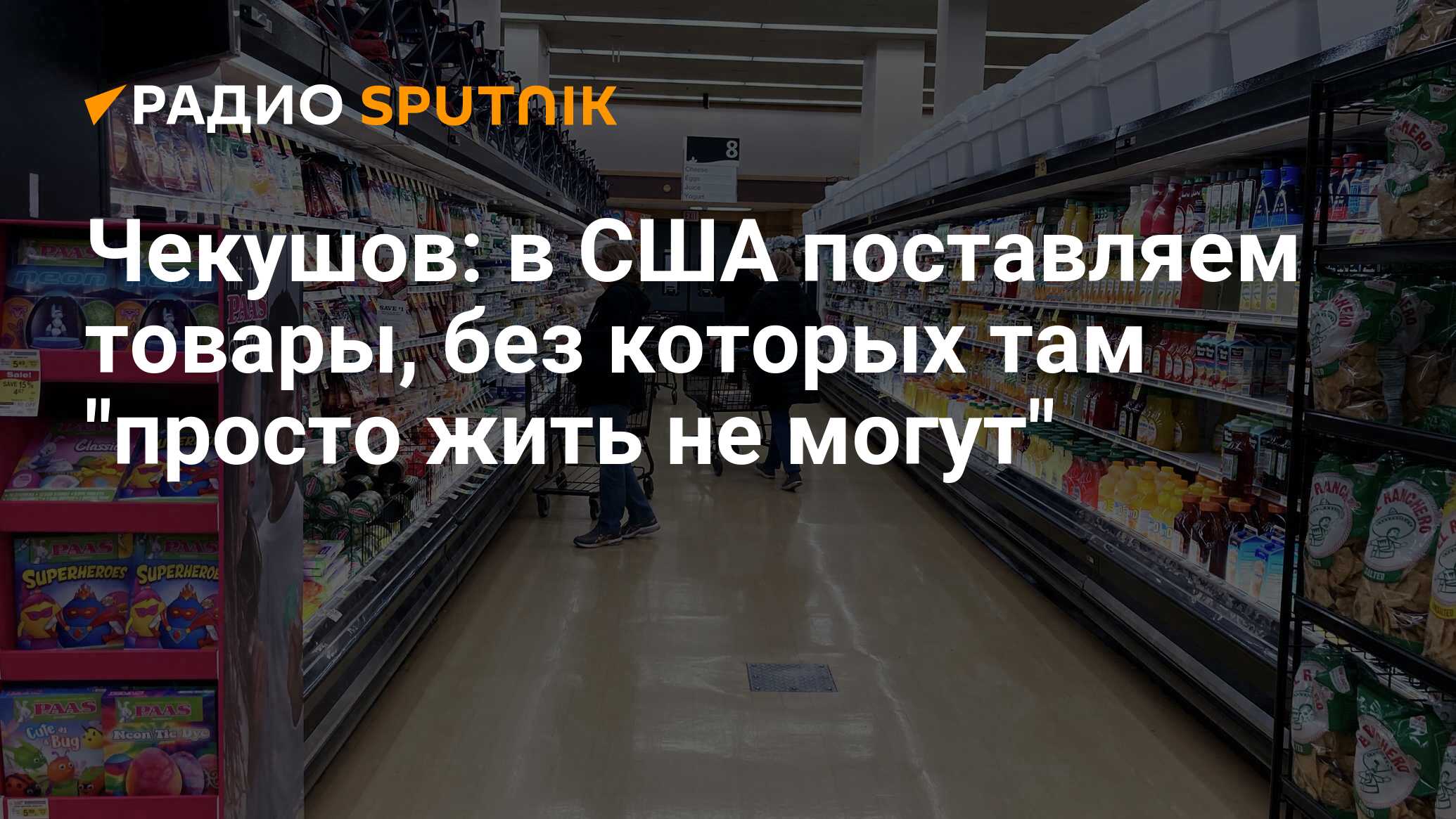 Чекушов: в США поставляем товары, без которых там 