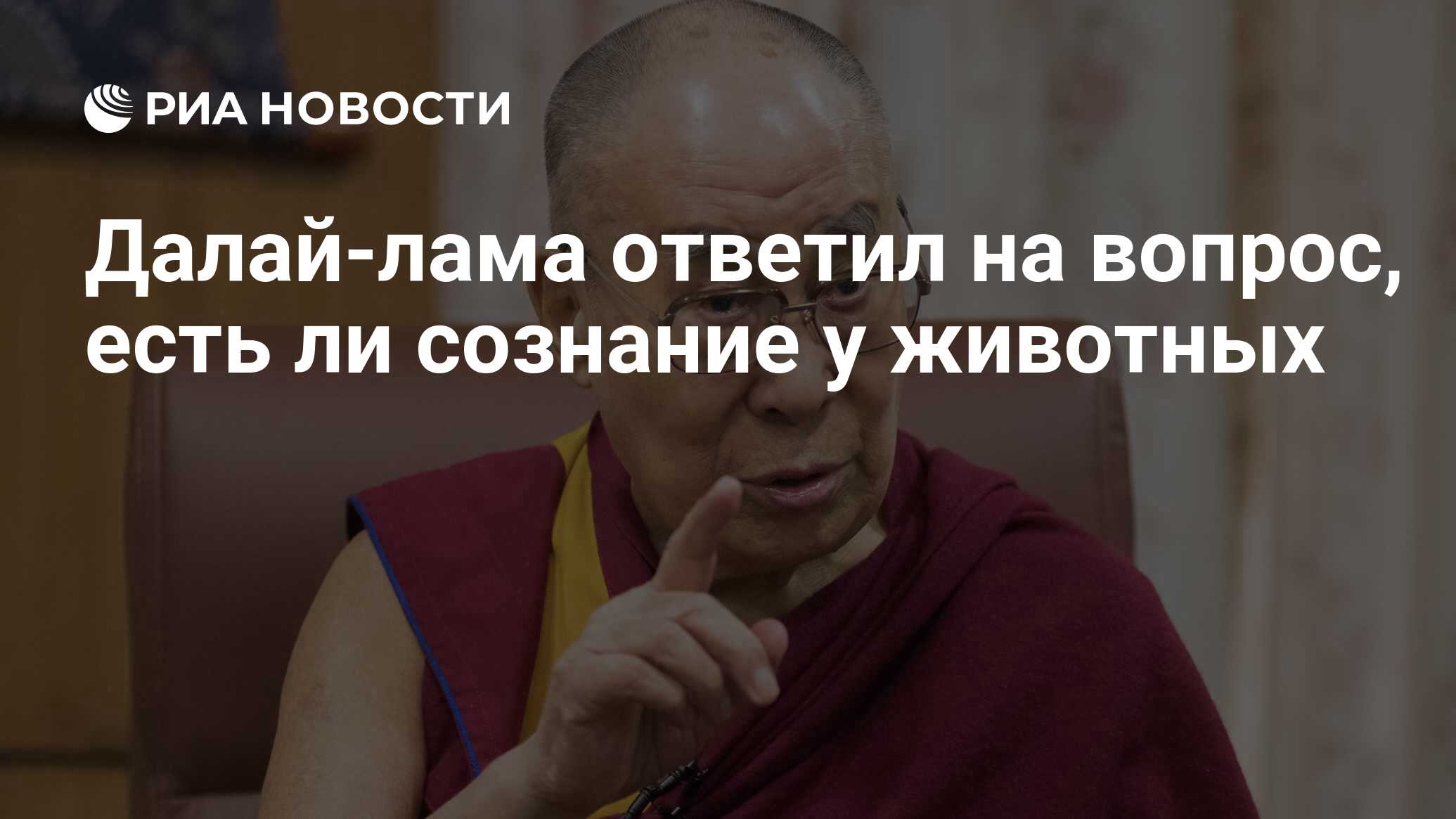 Далай-лама ответил на вопрос, есть ли сознание у животных - РИА Новости,  03.05.2023