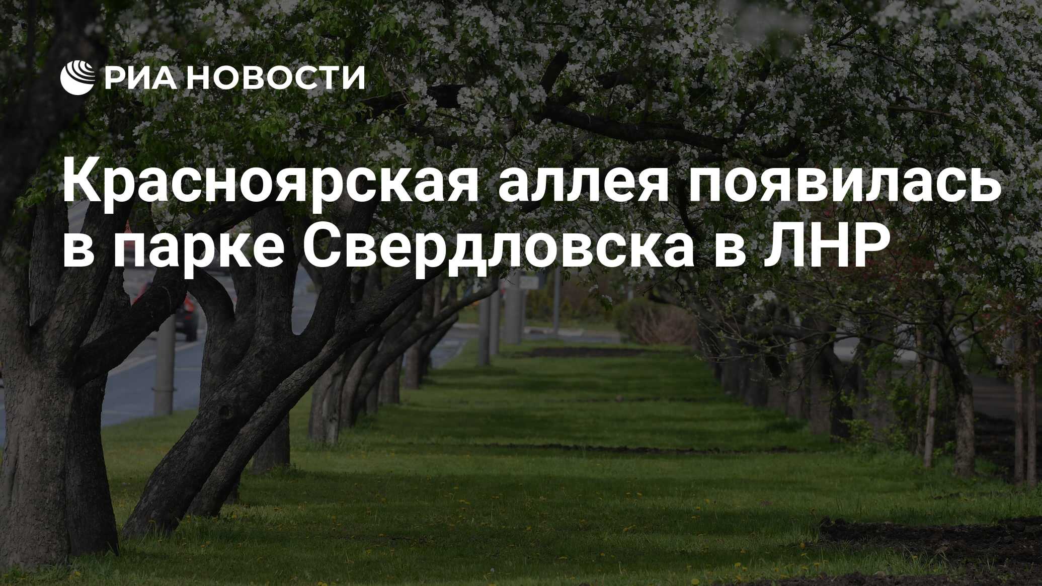 Красноярская аллея появилась в парке Свердловска в ЛНР - РИА Новости,  04.05.2023