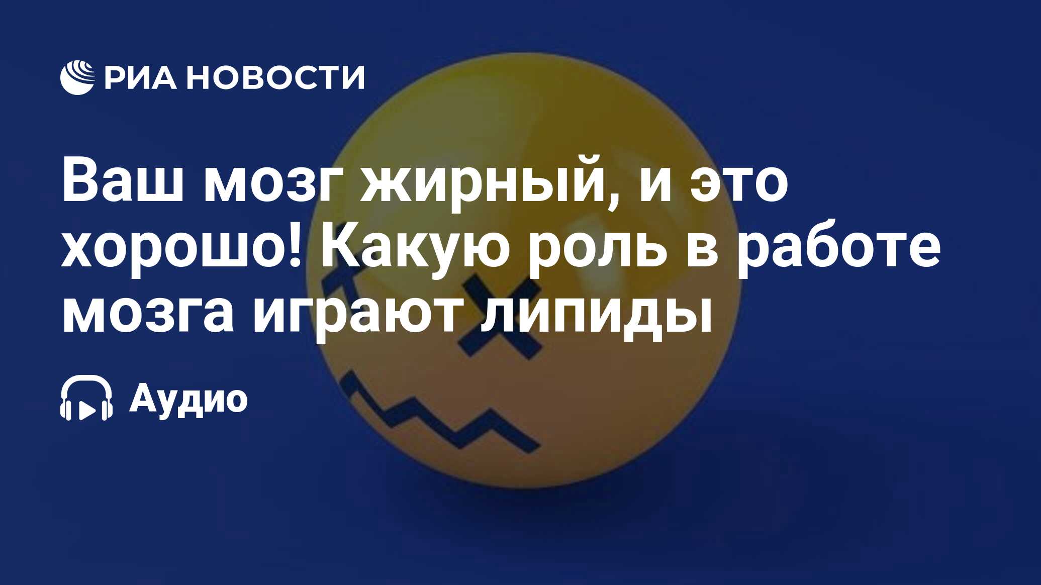 Ваш мозг жирный, и это хорошо! Какую роль в работе мозга играют липиды -  РИА Новости, 29.05.2023