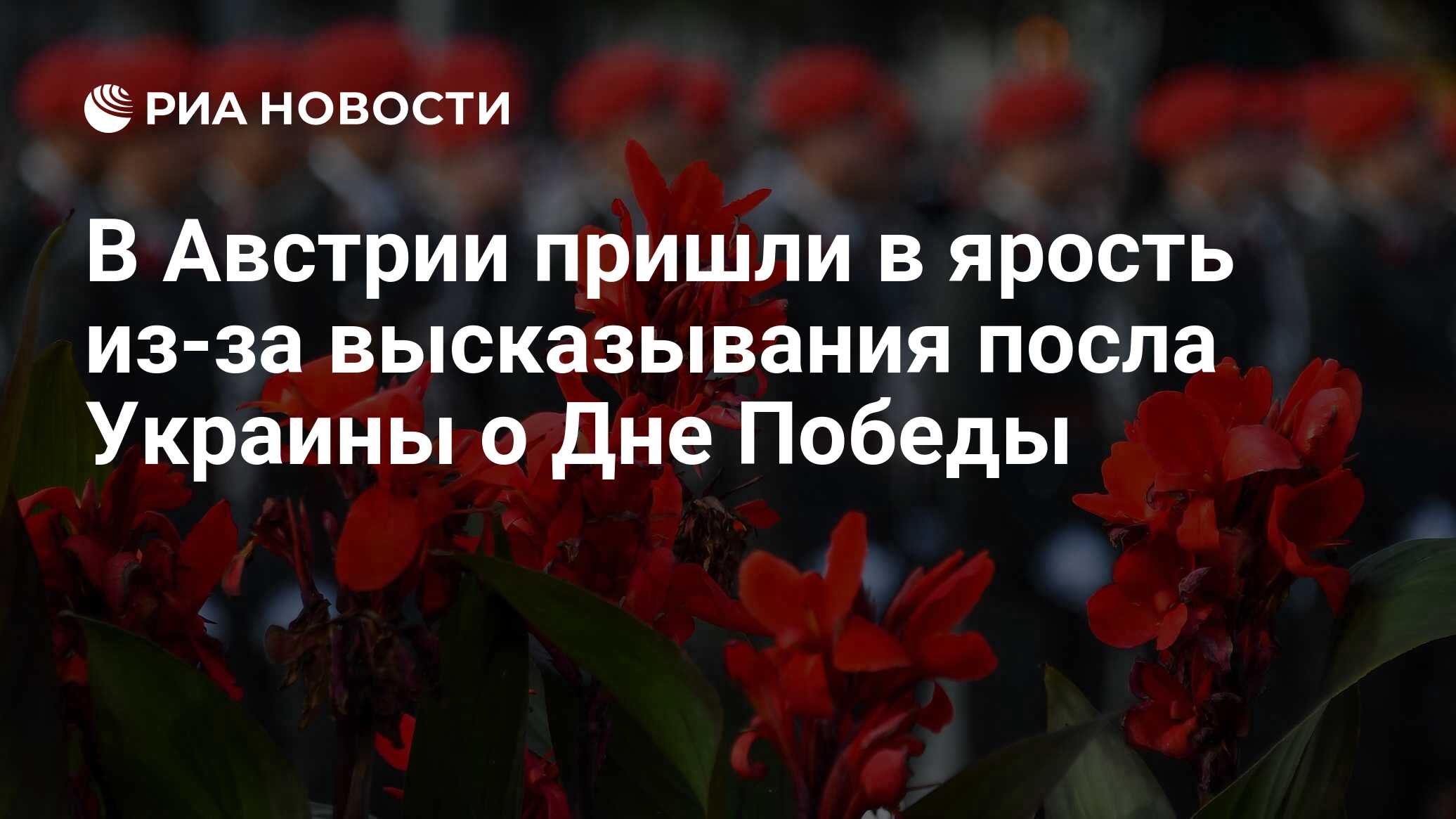 Австрийцы разозлились из-за высказывания посла Украины о Дне Победы