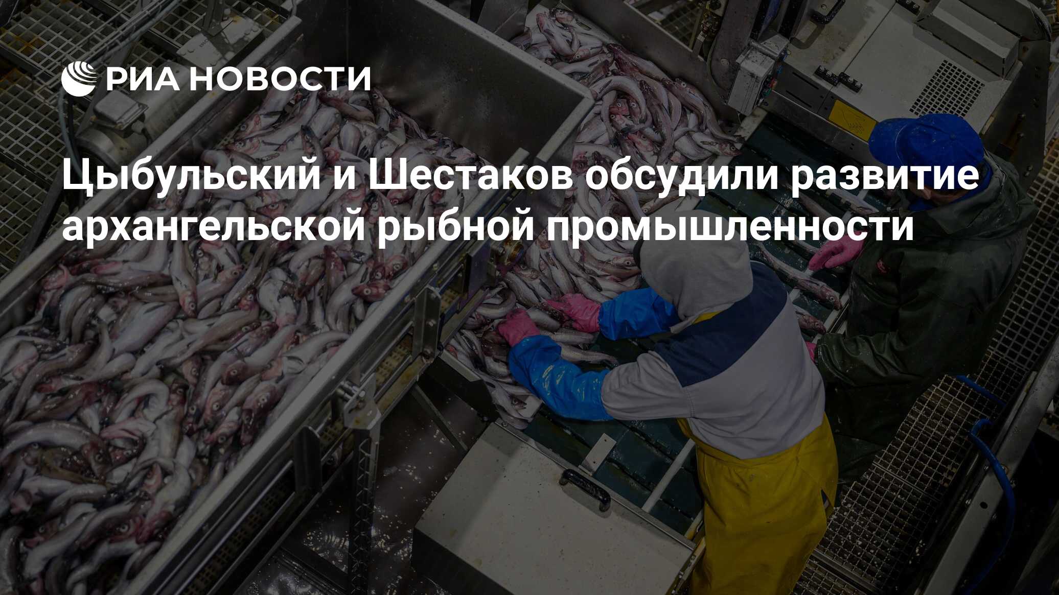 Цыбульский и Шестаков обсудили развитие архангельской рыбной промышленности - РИА Новости, 11.05.2023