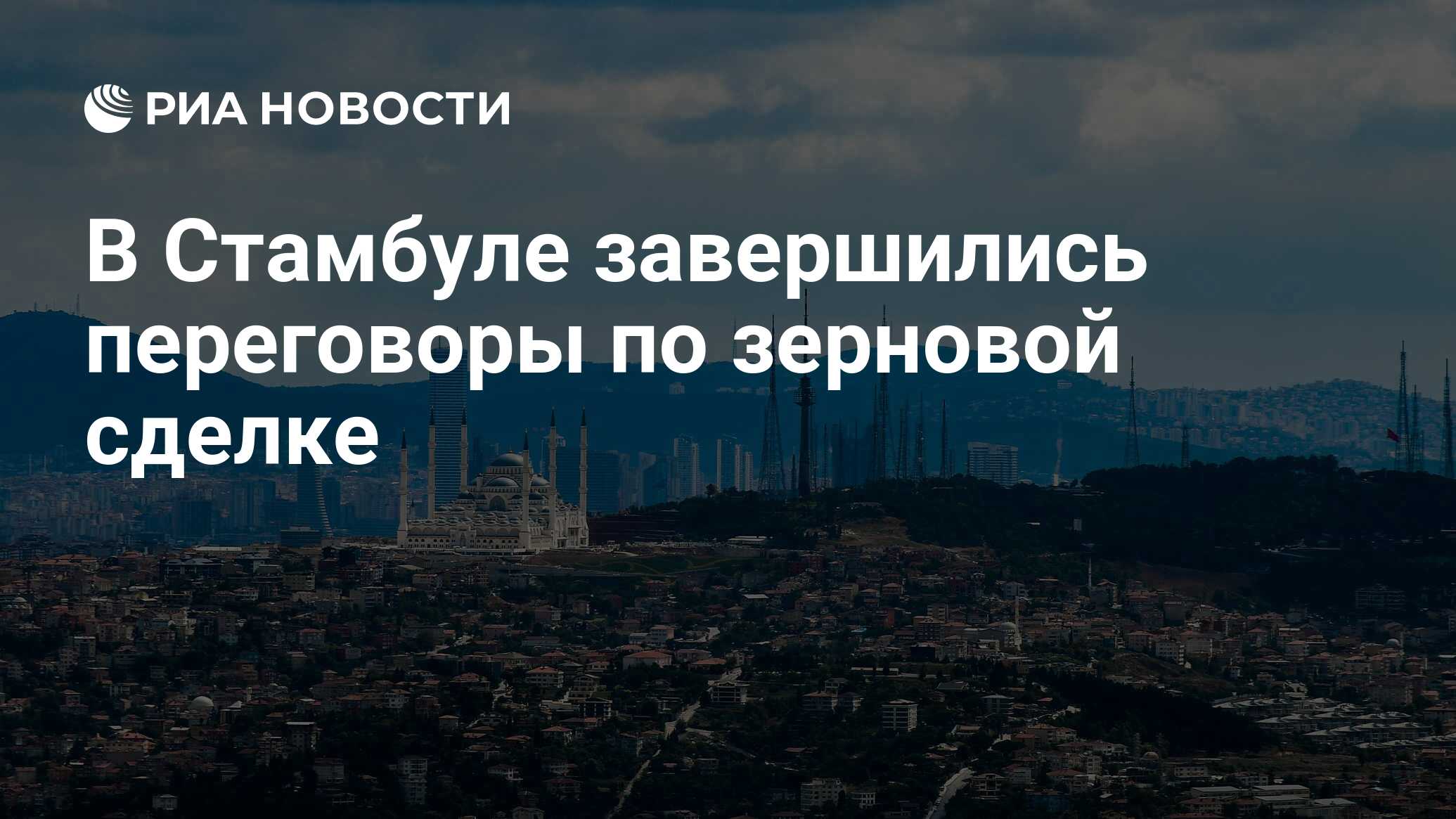 В Стамбуле завершились переговоры по зерновой сделке - РИА Новости, 11. ...