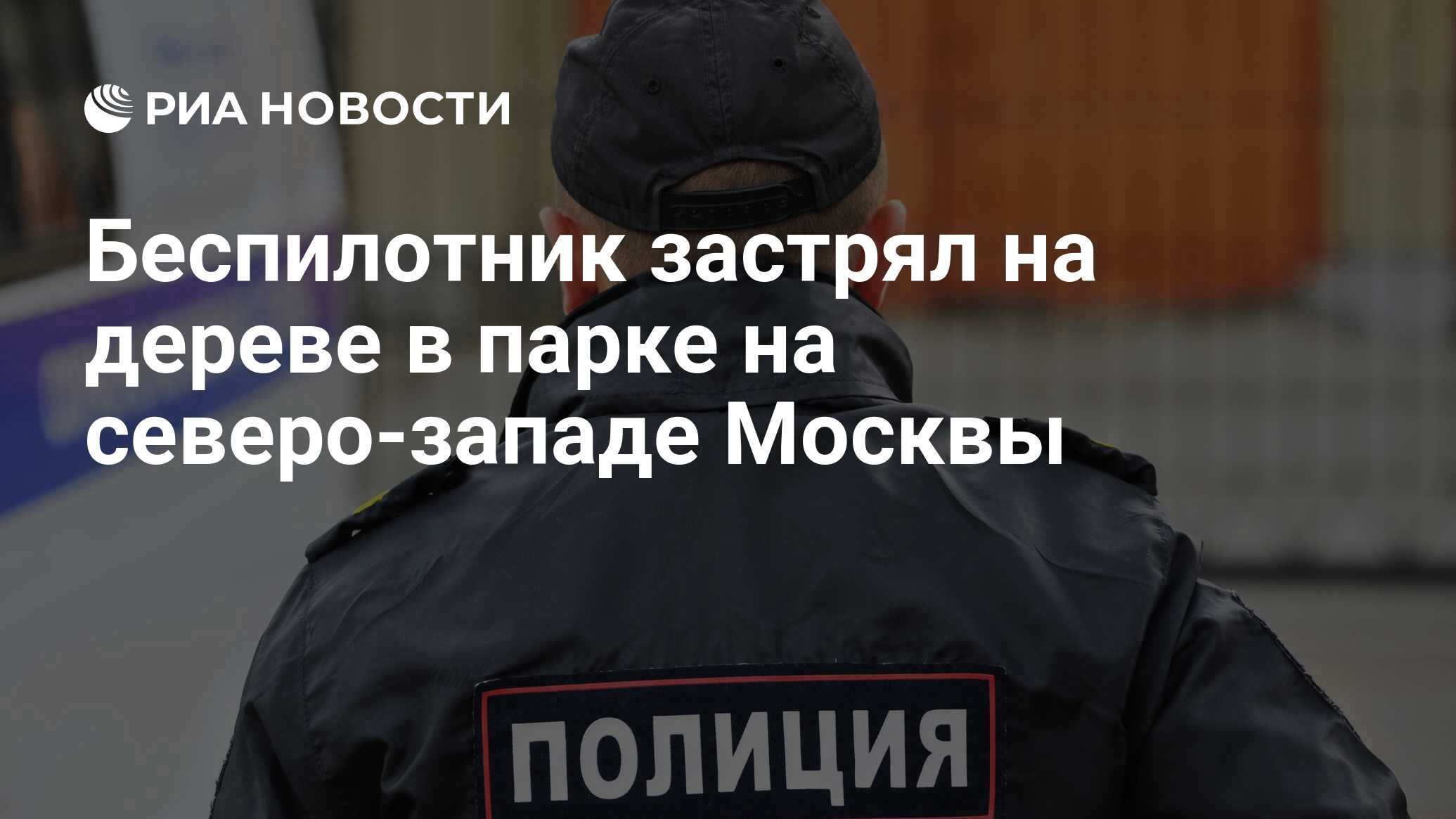 Беспилотник застрял на дереве в парке на северо-западе Москвы - РИА  Новости, 12.05.2023