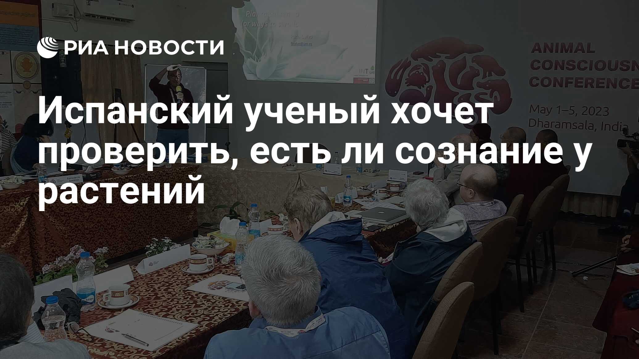 Испанский ученый хочет проверить, есть ли сознание у растений - РИА  Новости, 15.05.2023