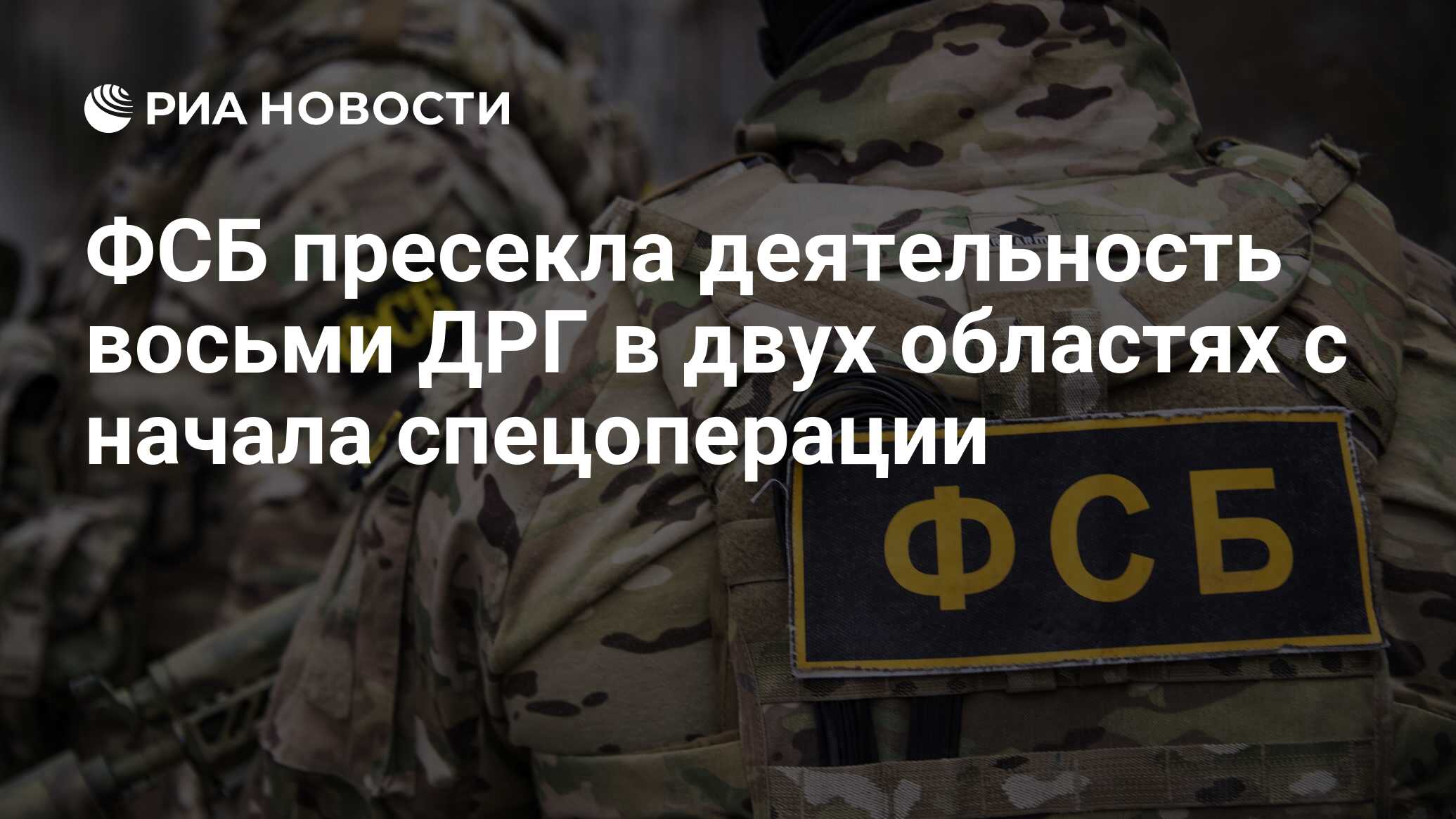 ФСБ пресекла деятельность восьми ДРГ в двух областях с начала спецоперации  - РИА Новости, 16.05.2023