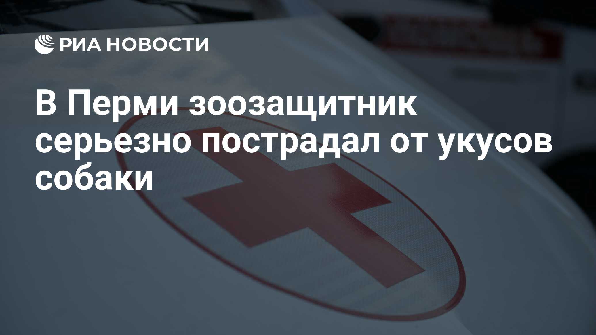 В Перми зоозащитник серьезно пострадал от укусов собаки - РИА Новости,  18.05.2023