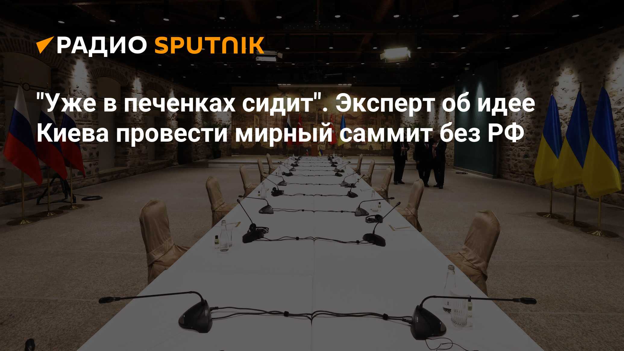 Мирный саммит по Украине. Мирный саммит что это значит. Эрдоган предлагает провести Мирный саммит Украина и Россия.