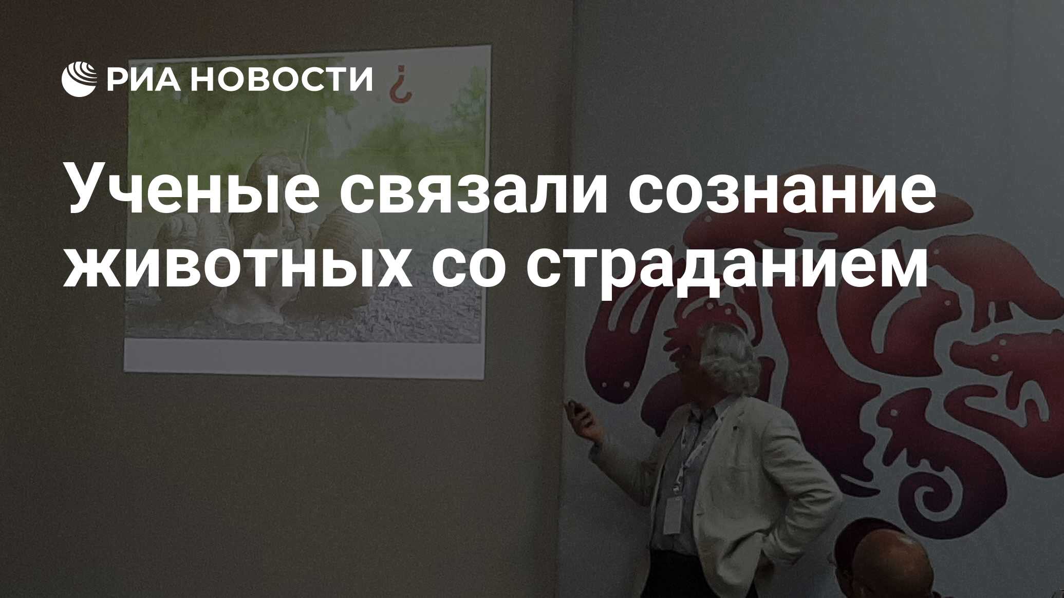 Сознание у животных. Сознание у животных